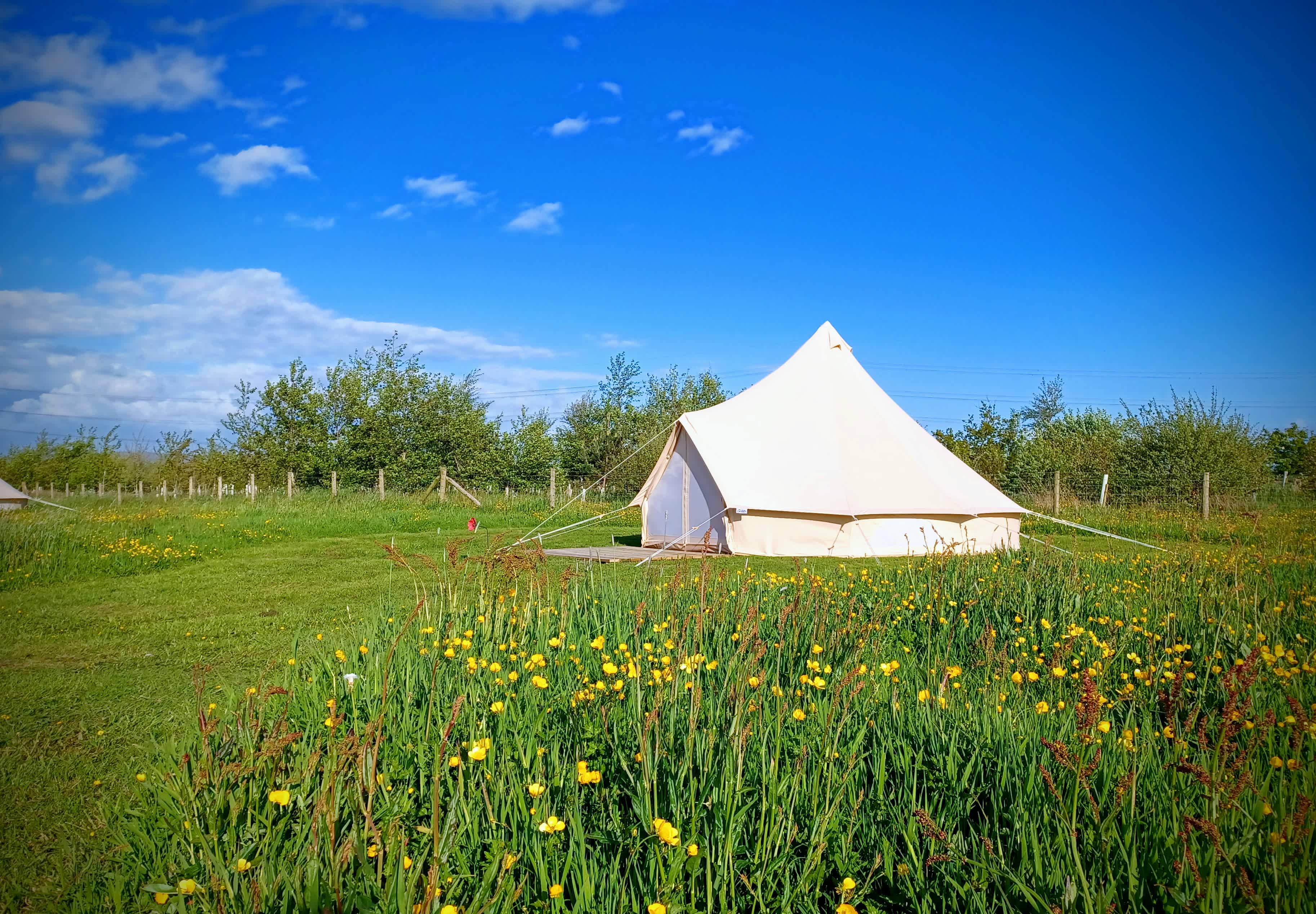 Moss Rose Campsite