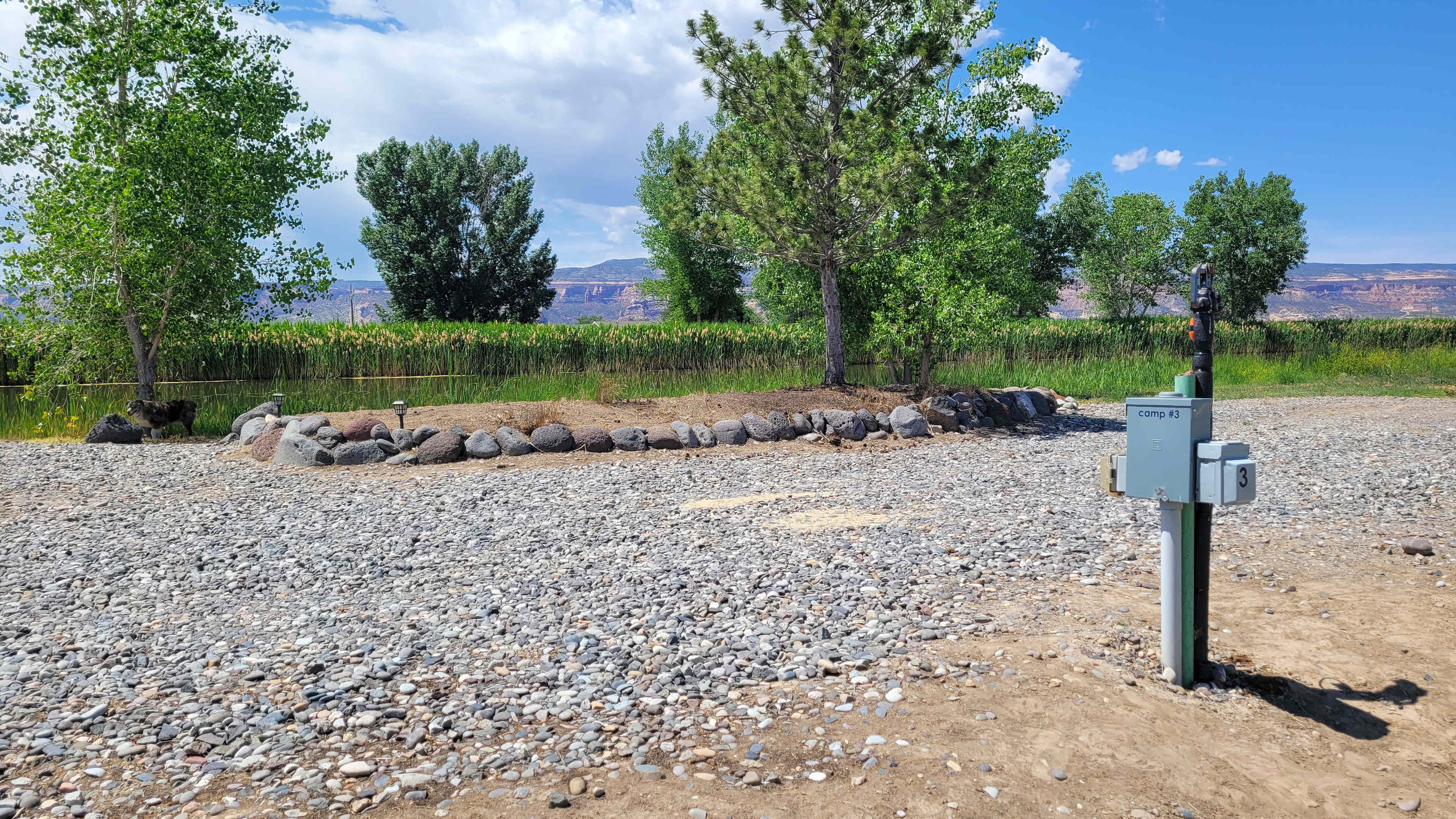 Picture of the site