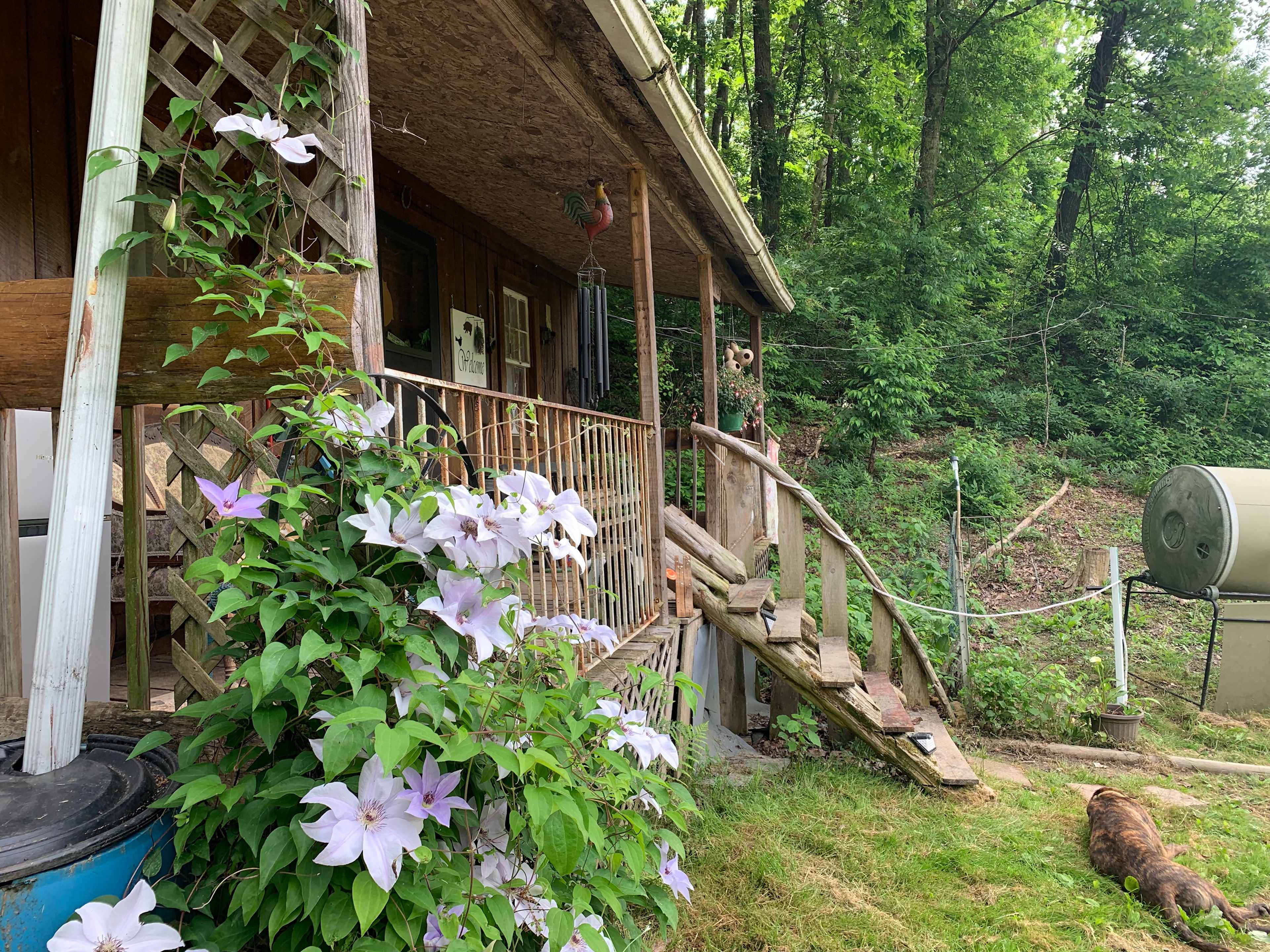 Cabin front steps