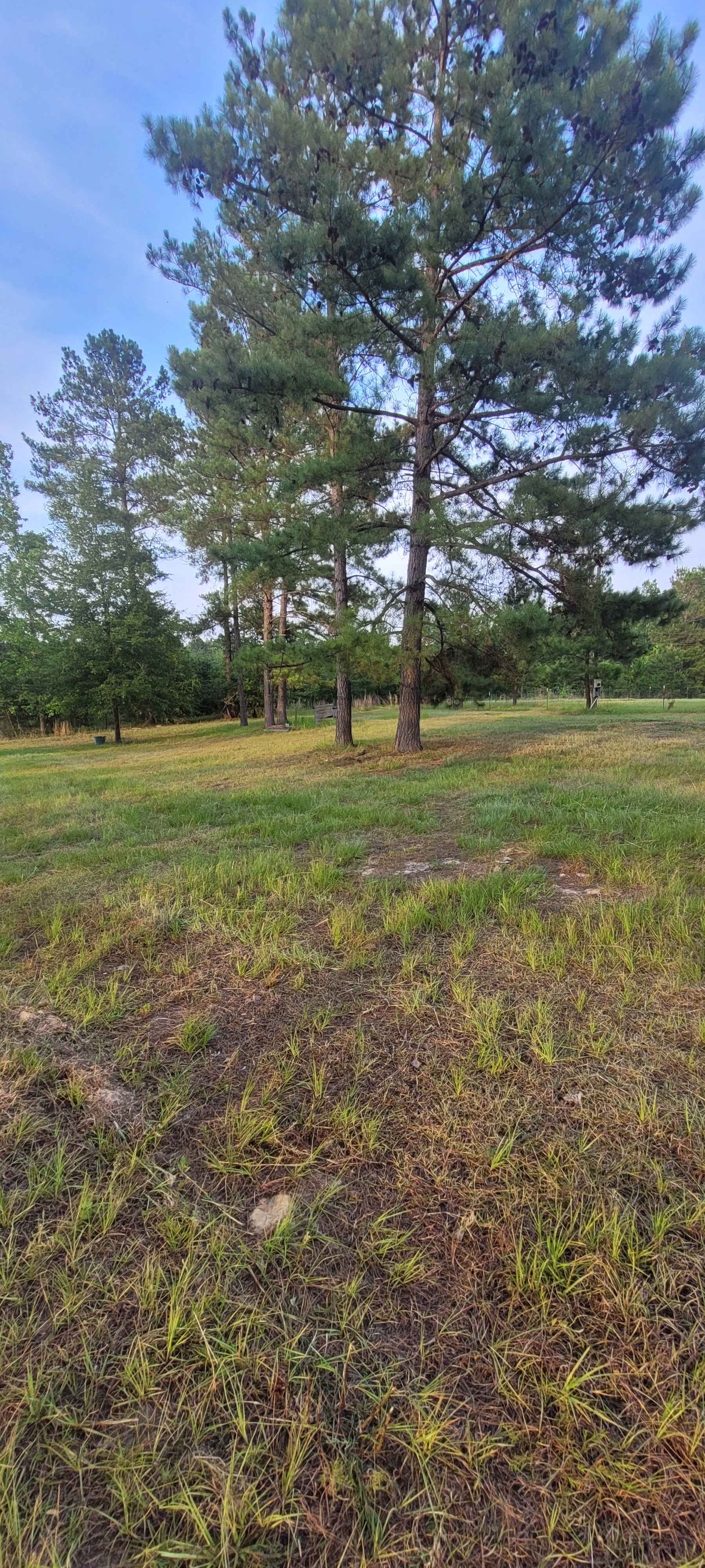 Site photo 1