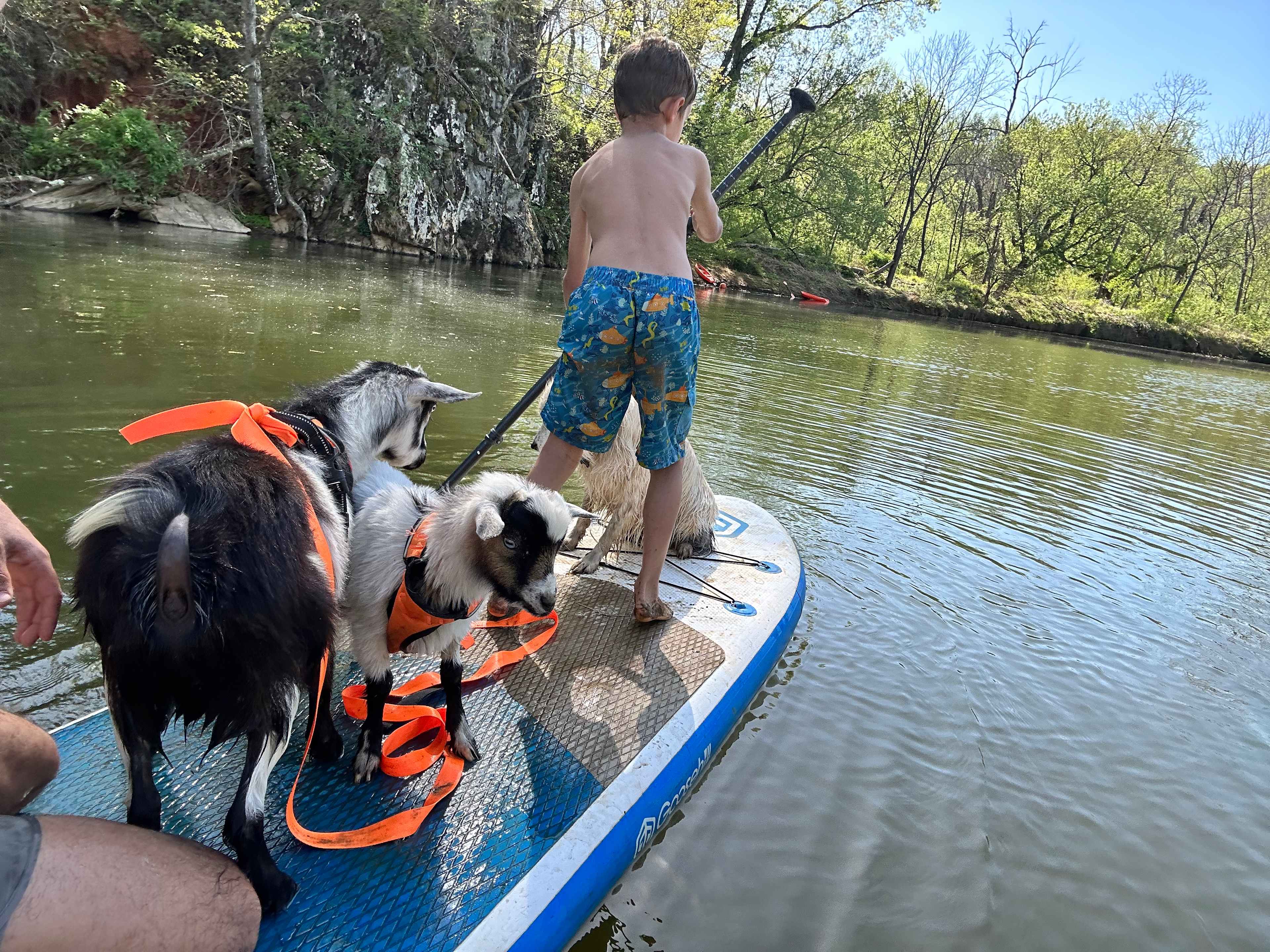 Kids - four and two legged - optional. 