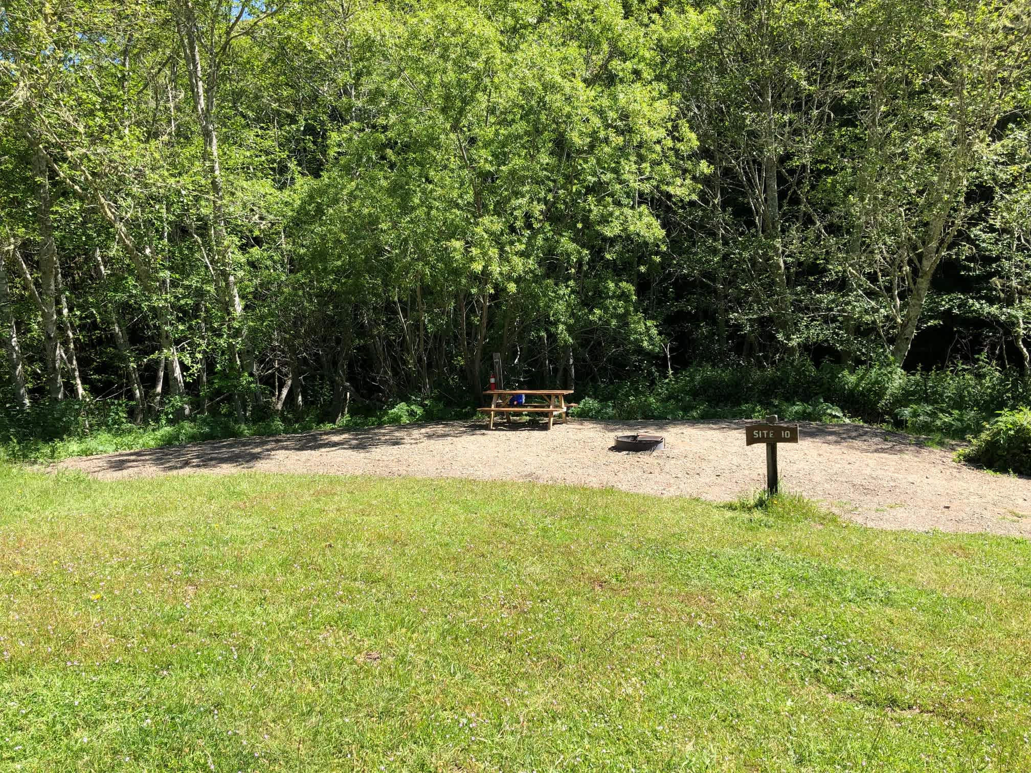 Picture of the site