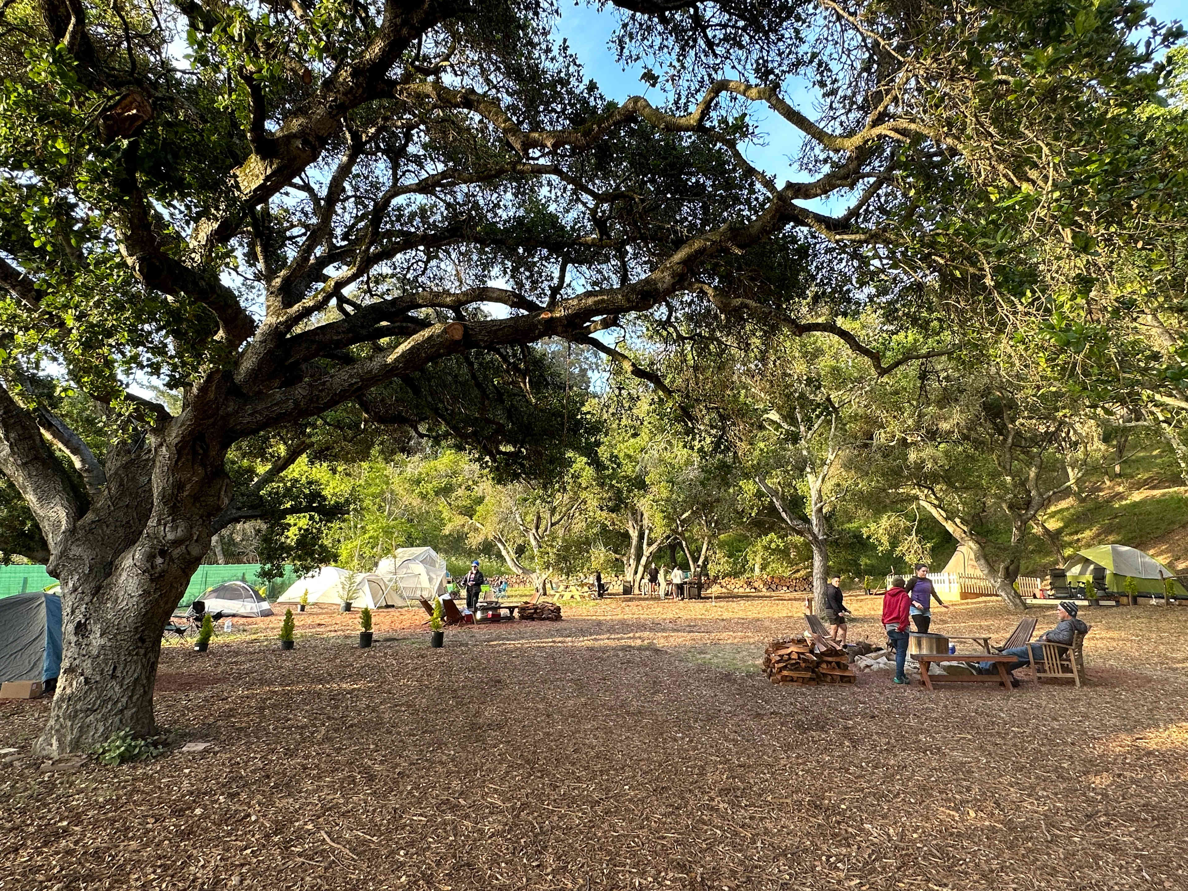 Picture of the site