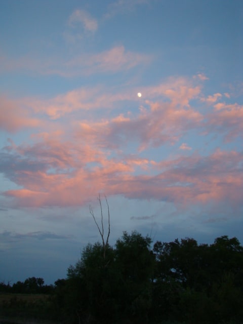The Navasota River Ranch