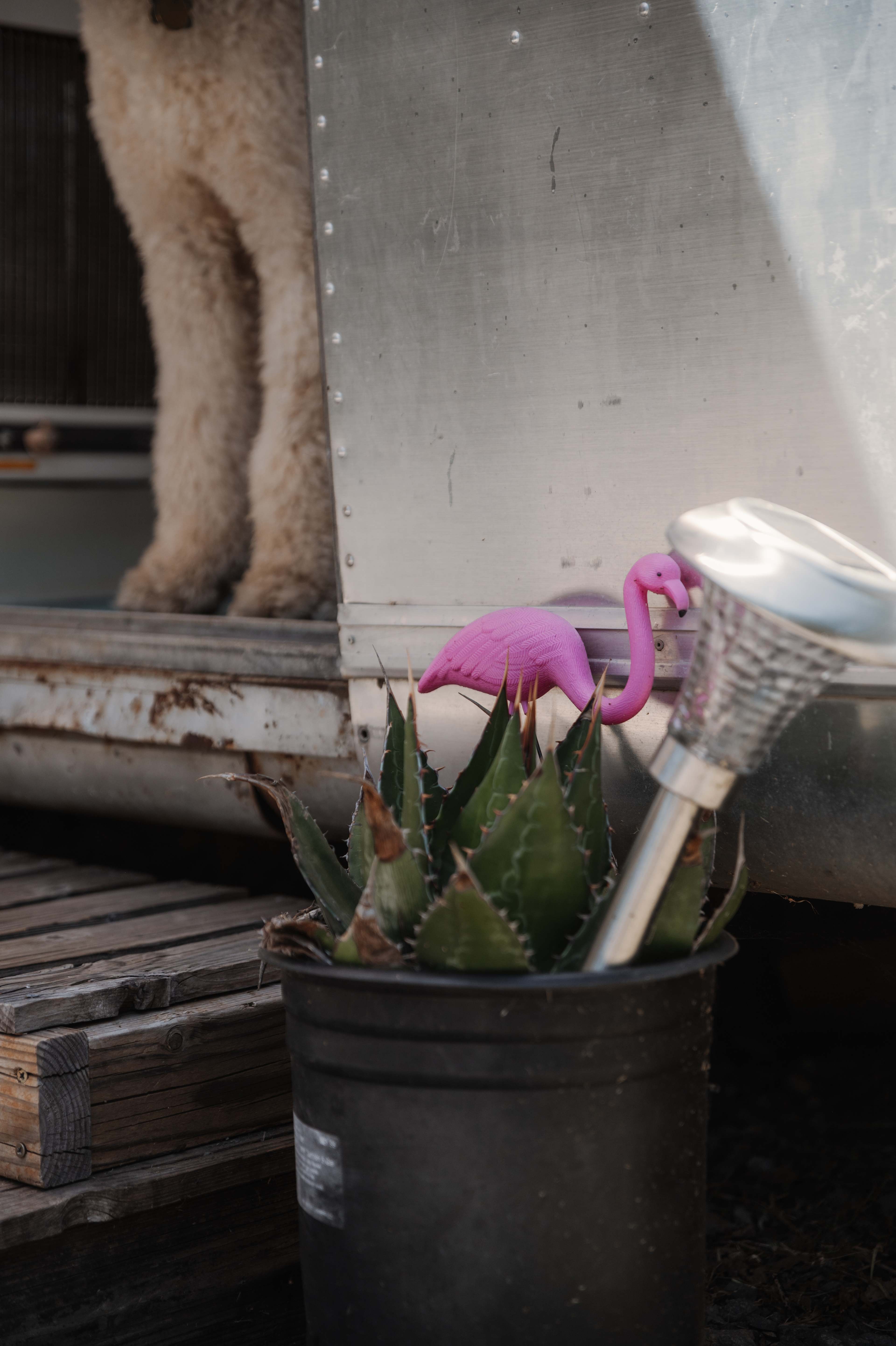 Coco The Airstream