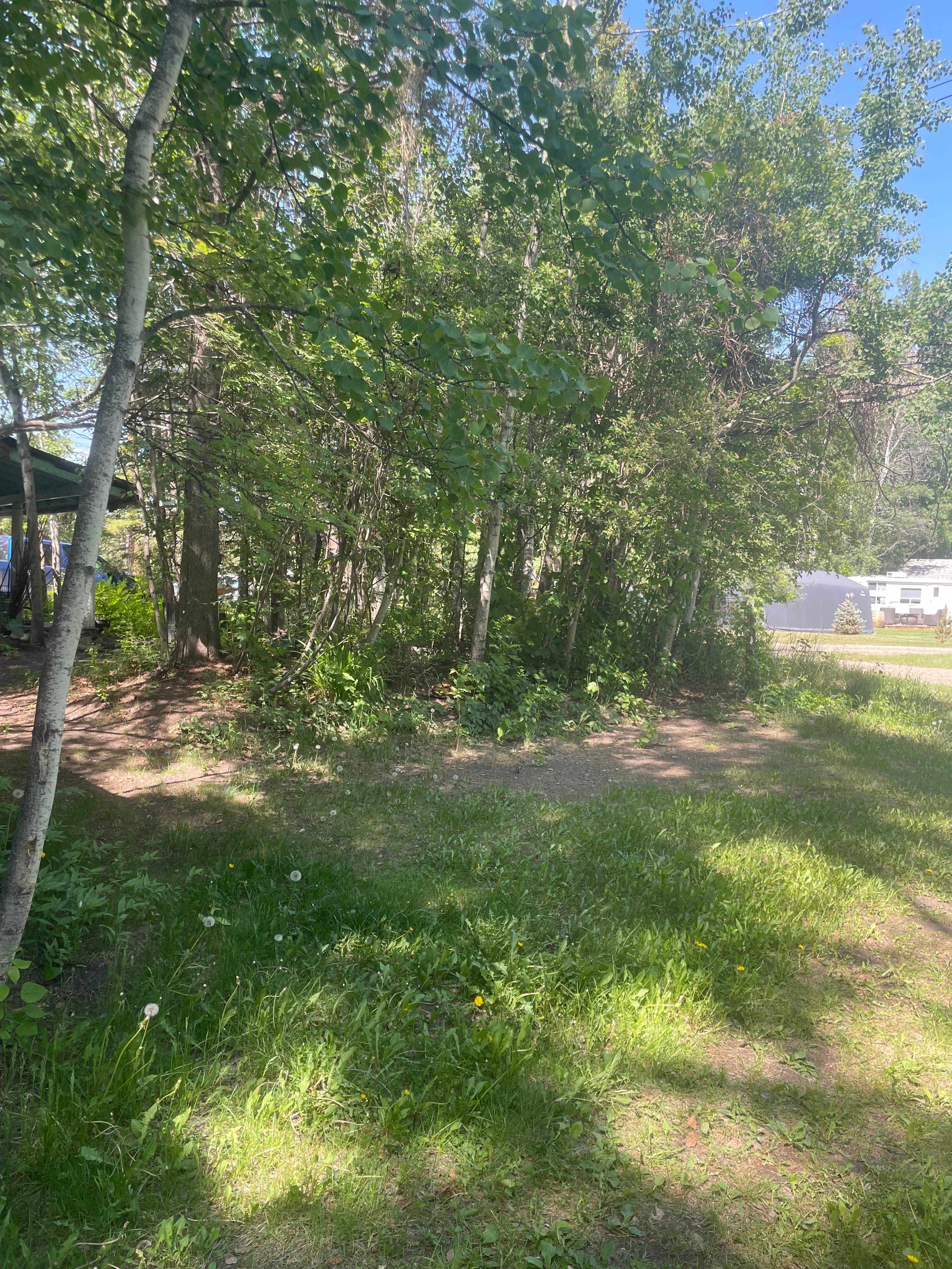 Site Two