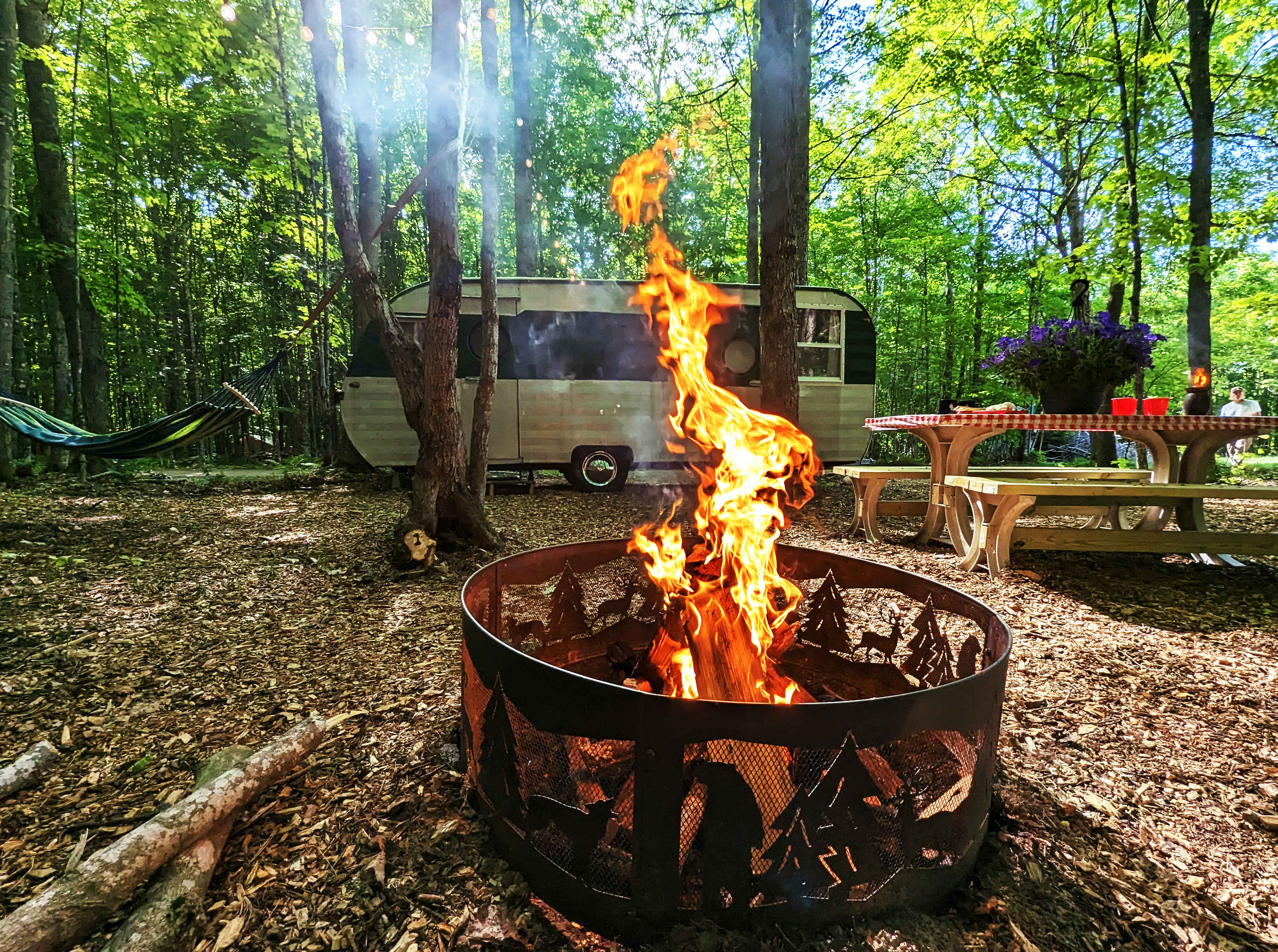 Picture of the site