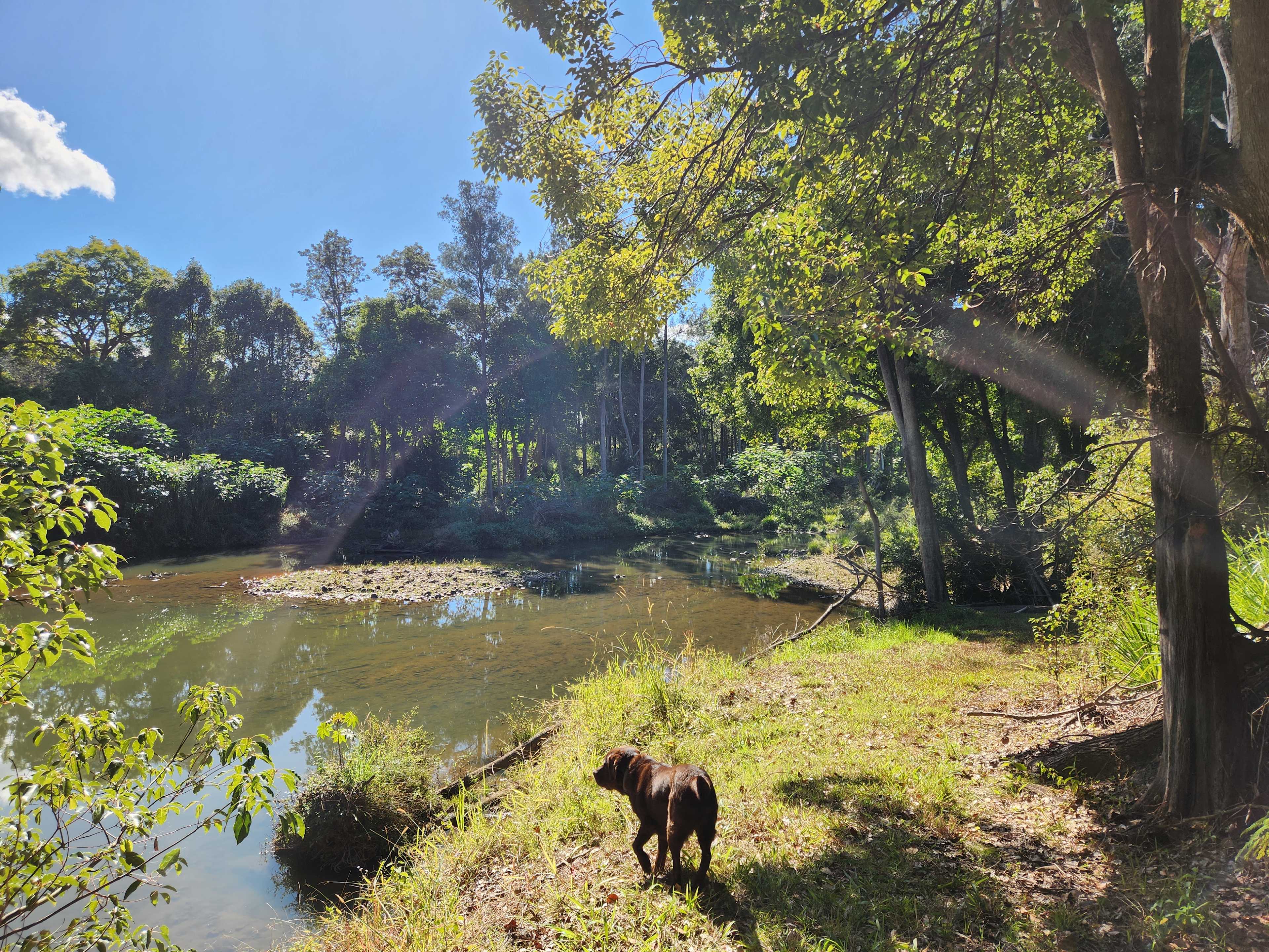 Windmill Creek Camp