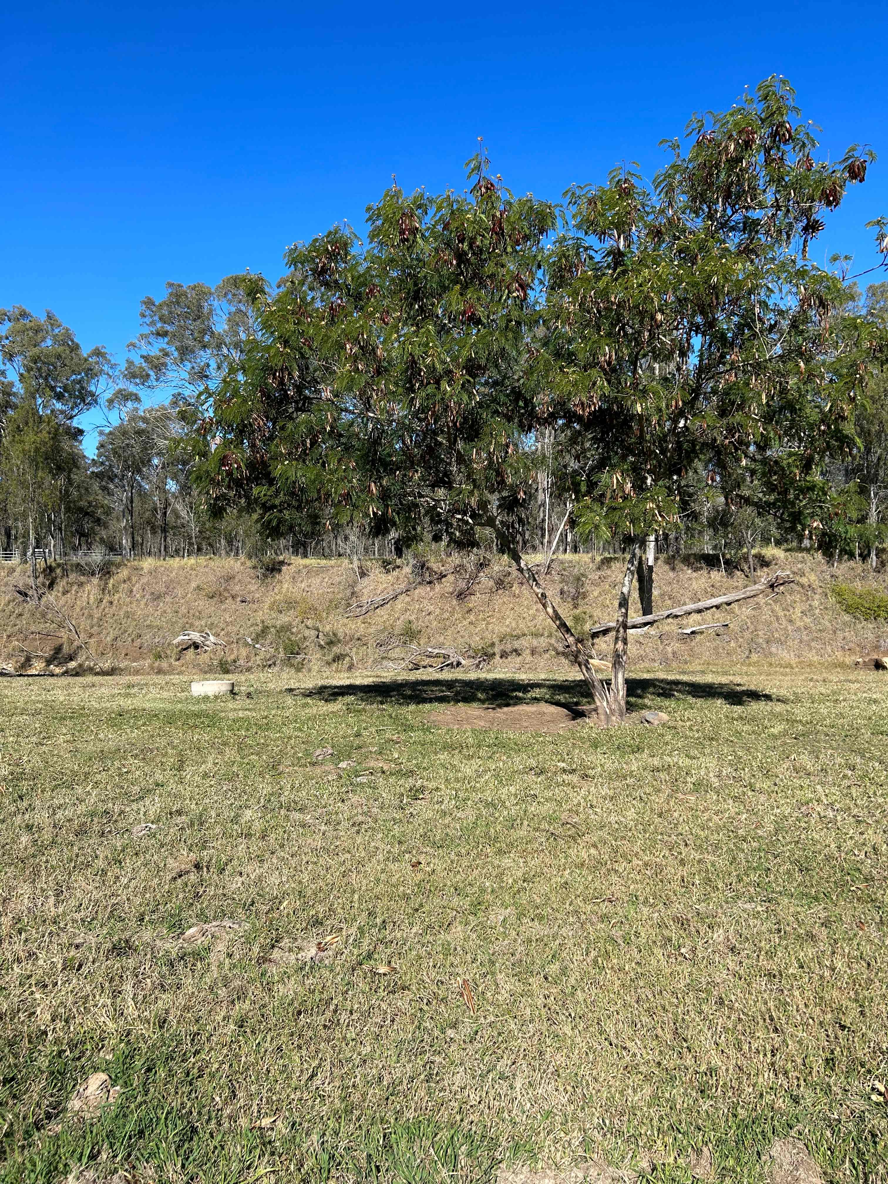 Camp site 1
