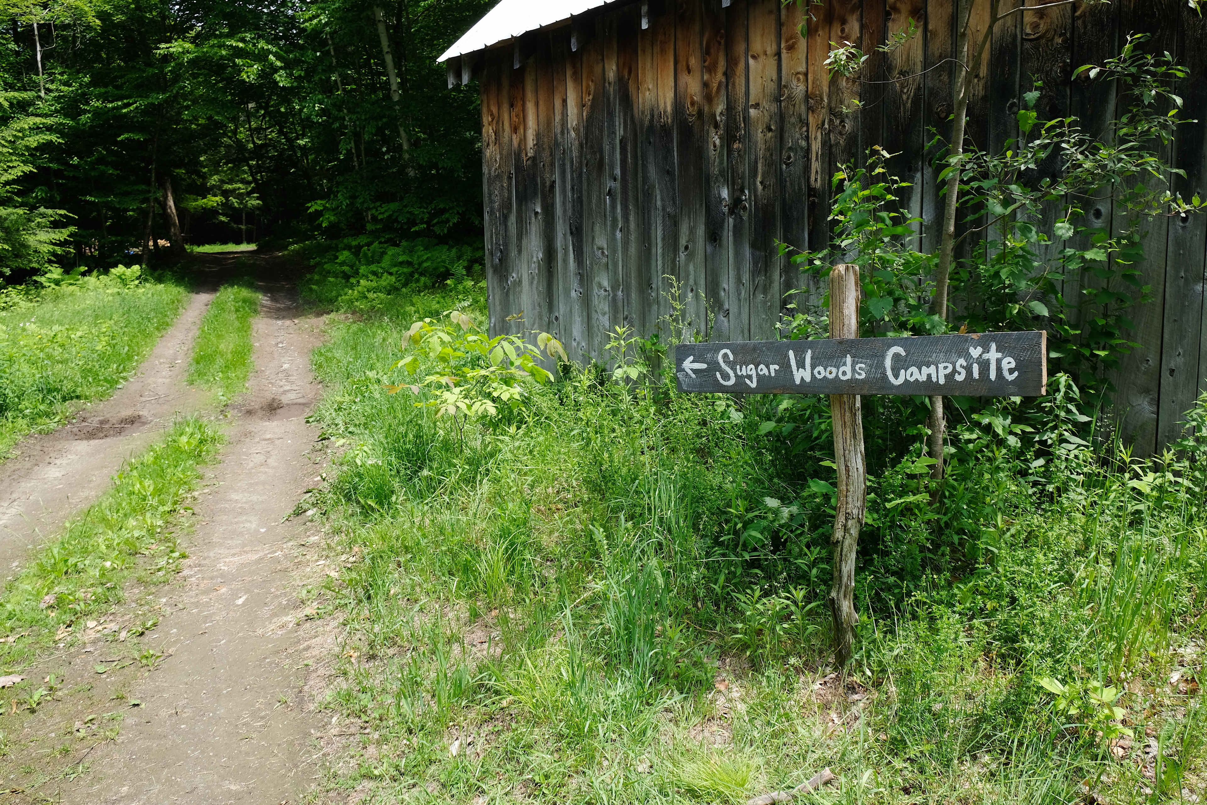 Waterbury Sugarwood's Getaway