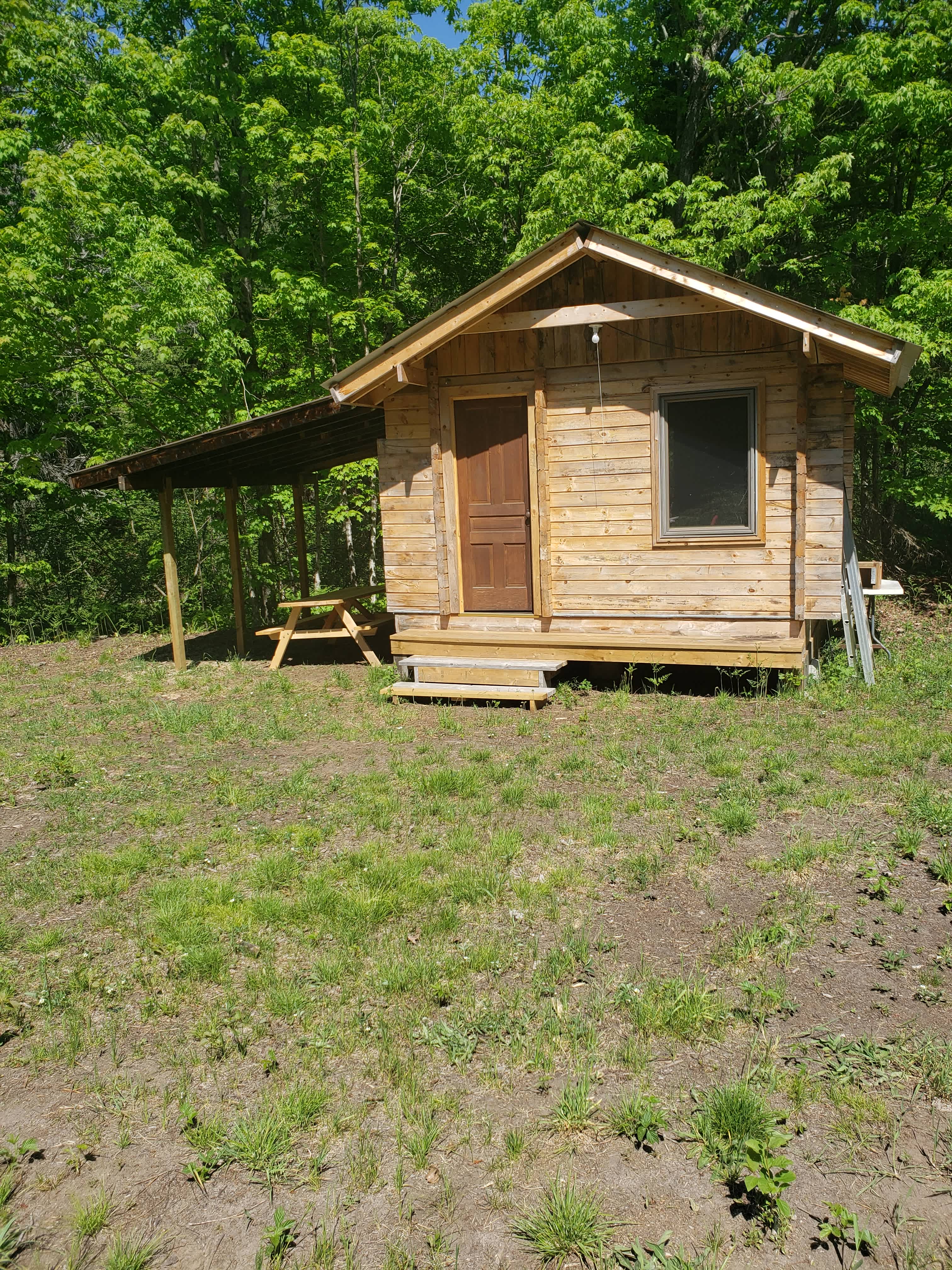 Cabin 1