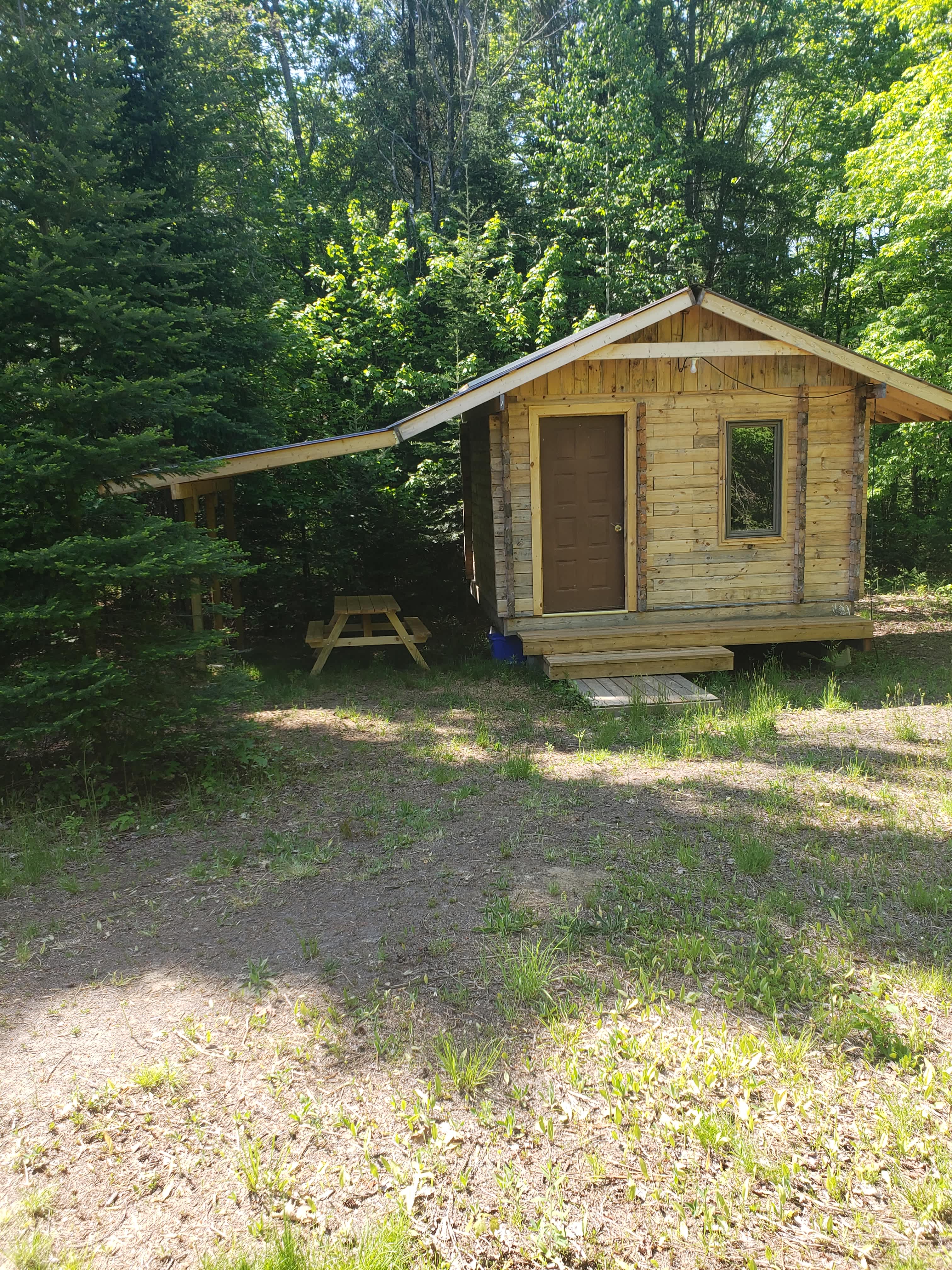 Cabin 3