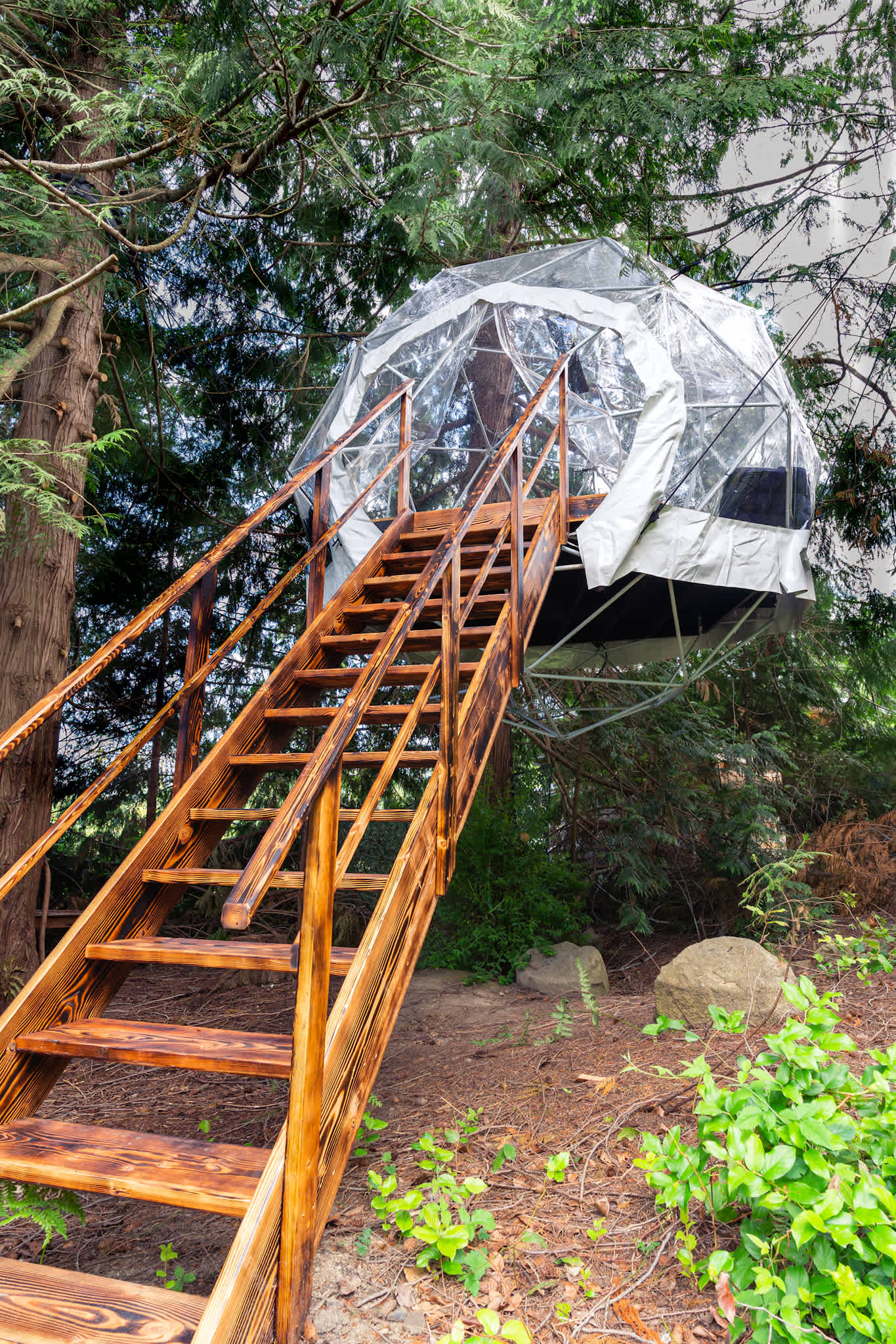 HangingTreehouse Sphere