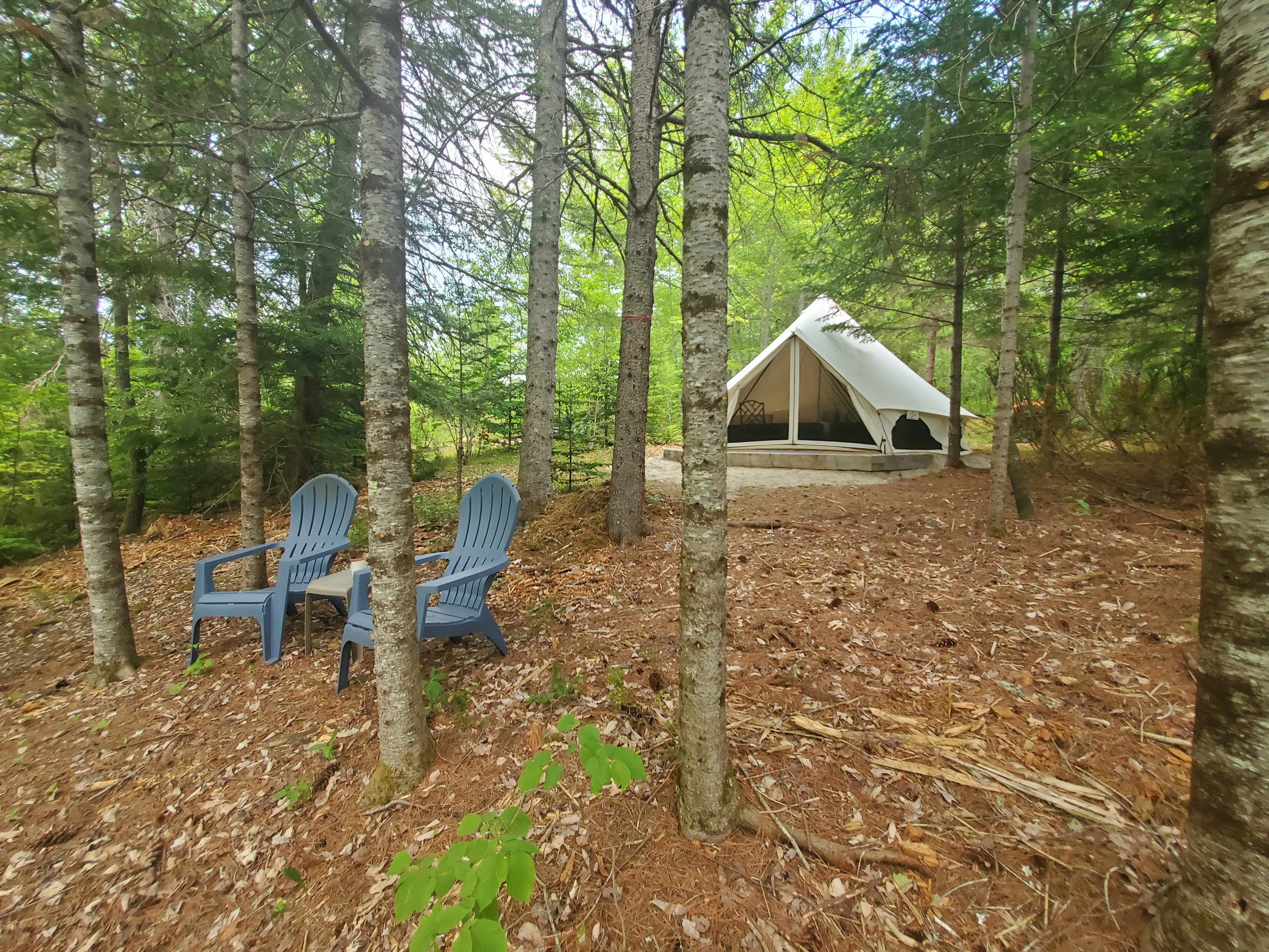 Picture of the site