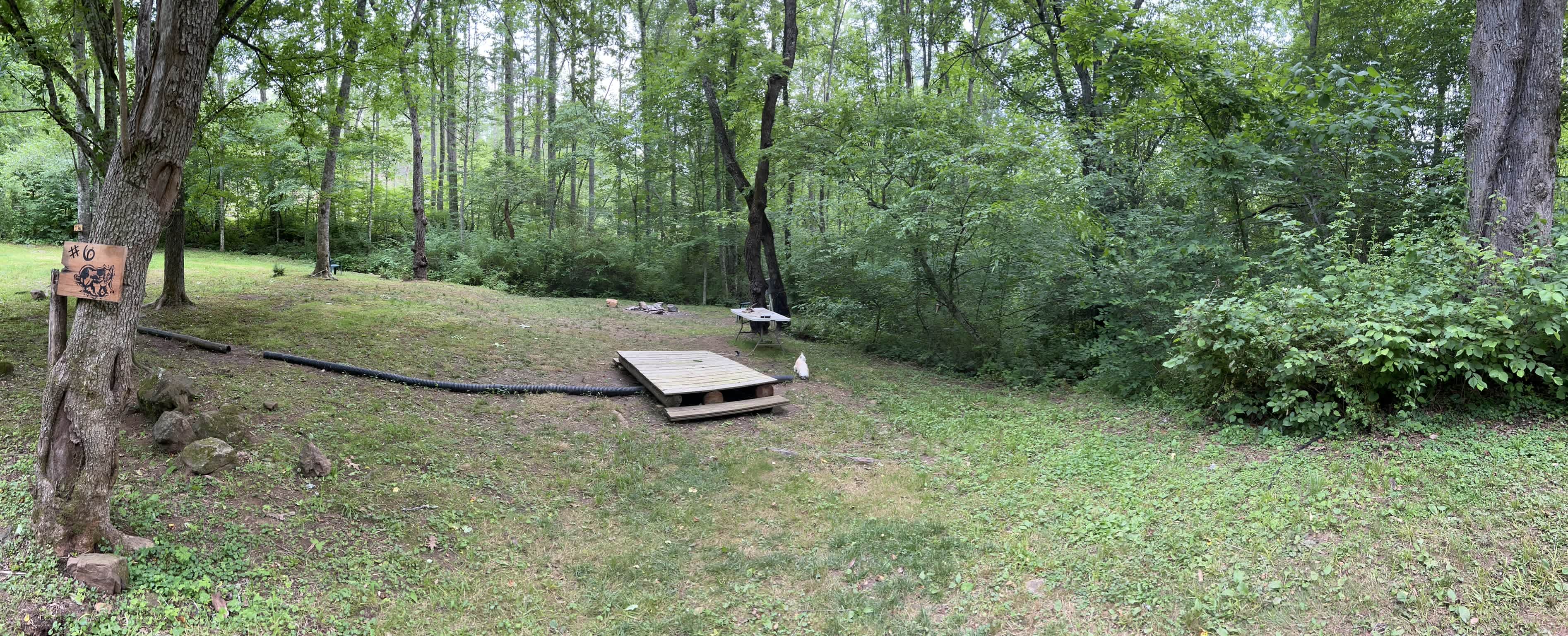 Picture of the site