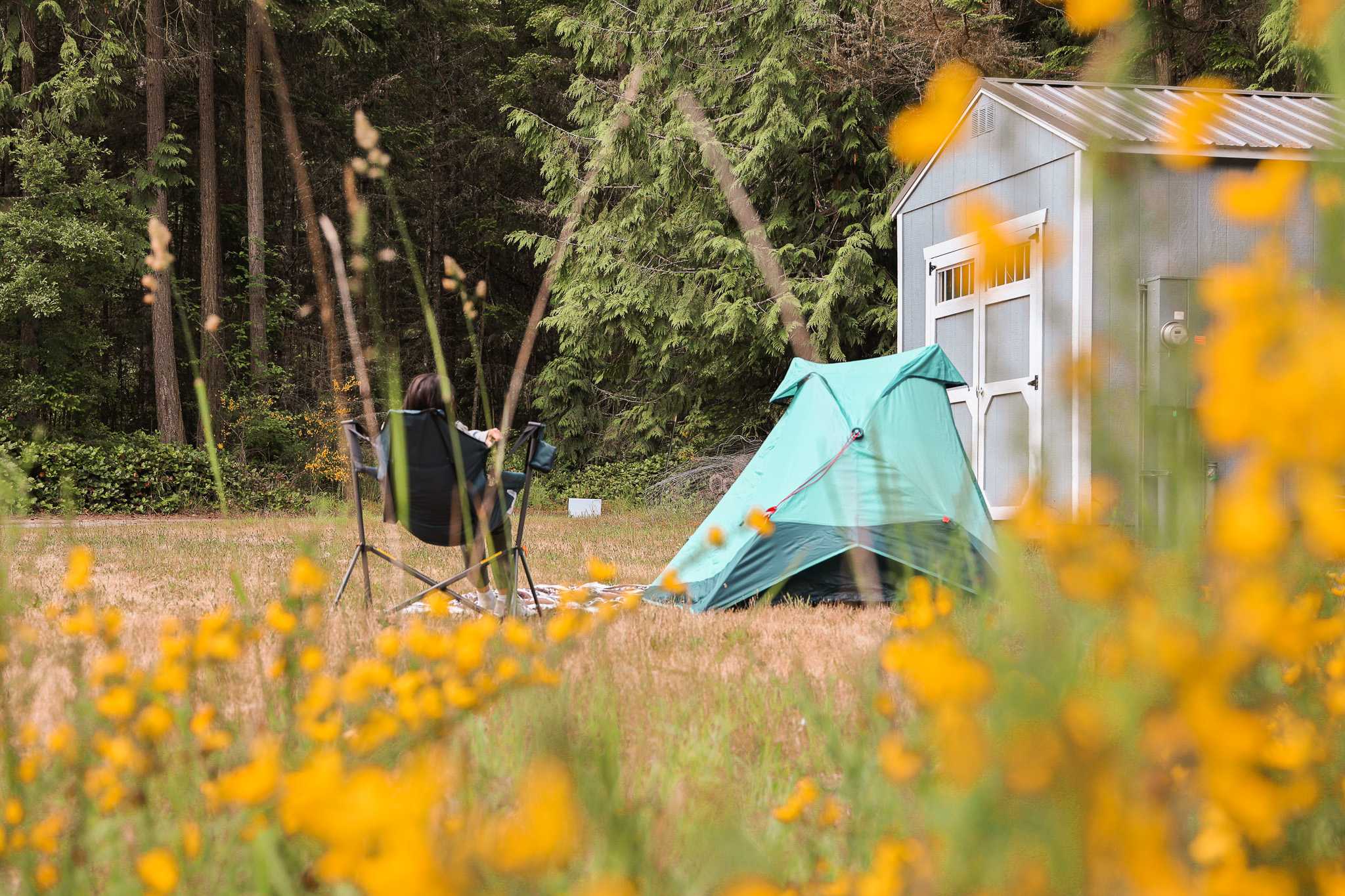 Campsite