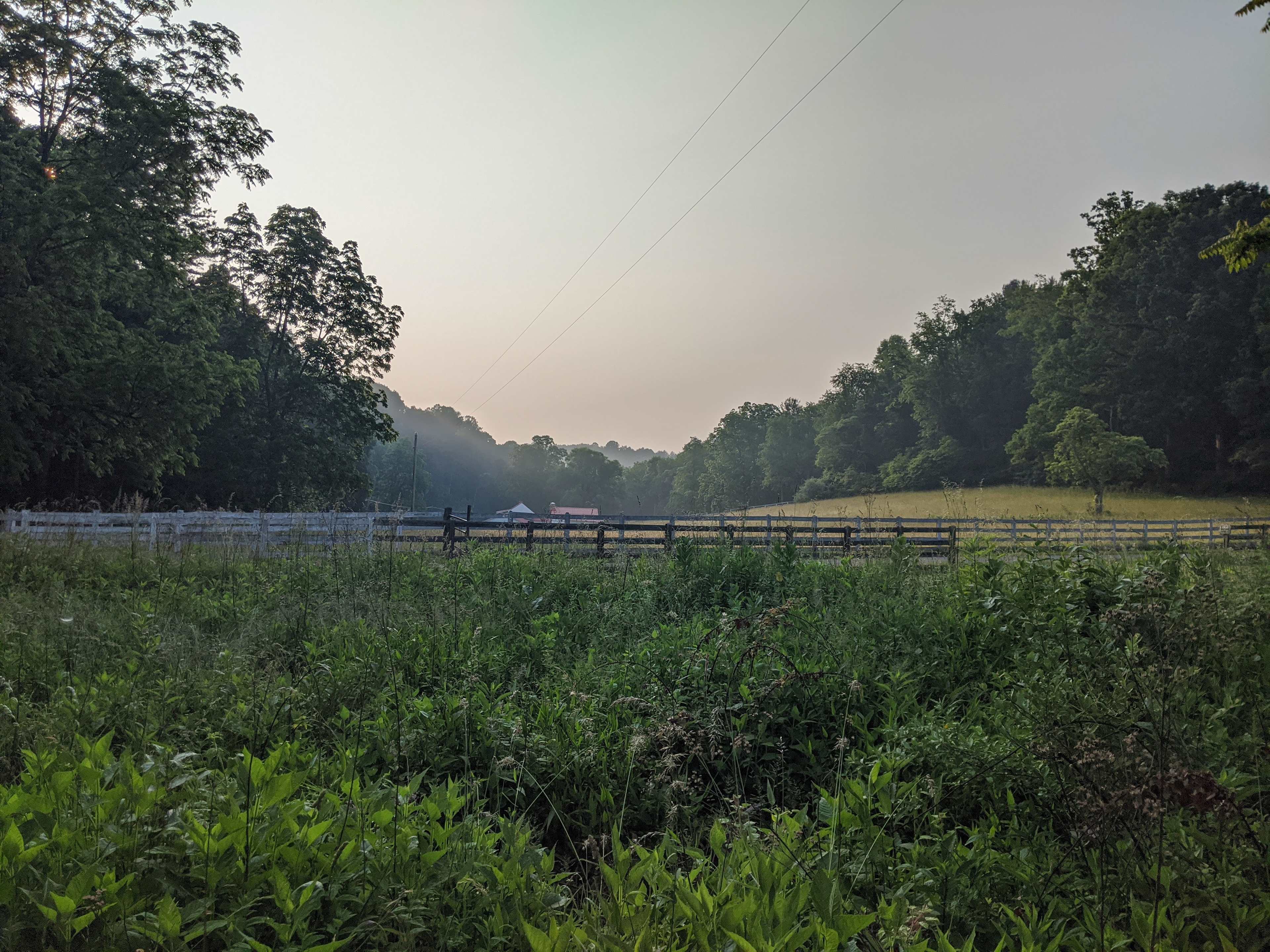Morning view from the site. (and our closest neighbors)
