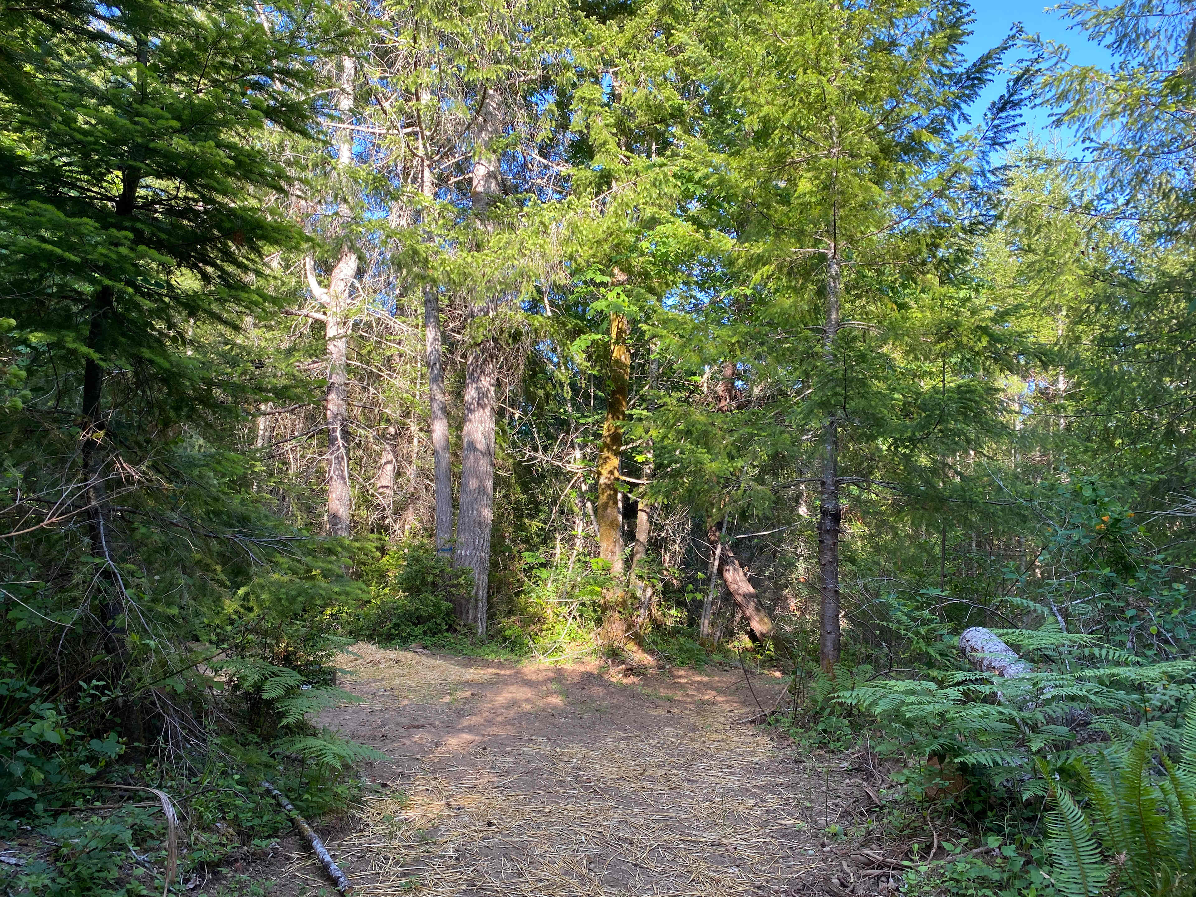 When you drive in from the road, continue along until the "T" in the road, turn left and immediately left and you will find this site. 