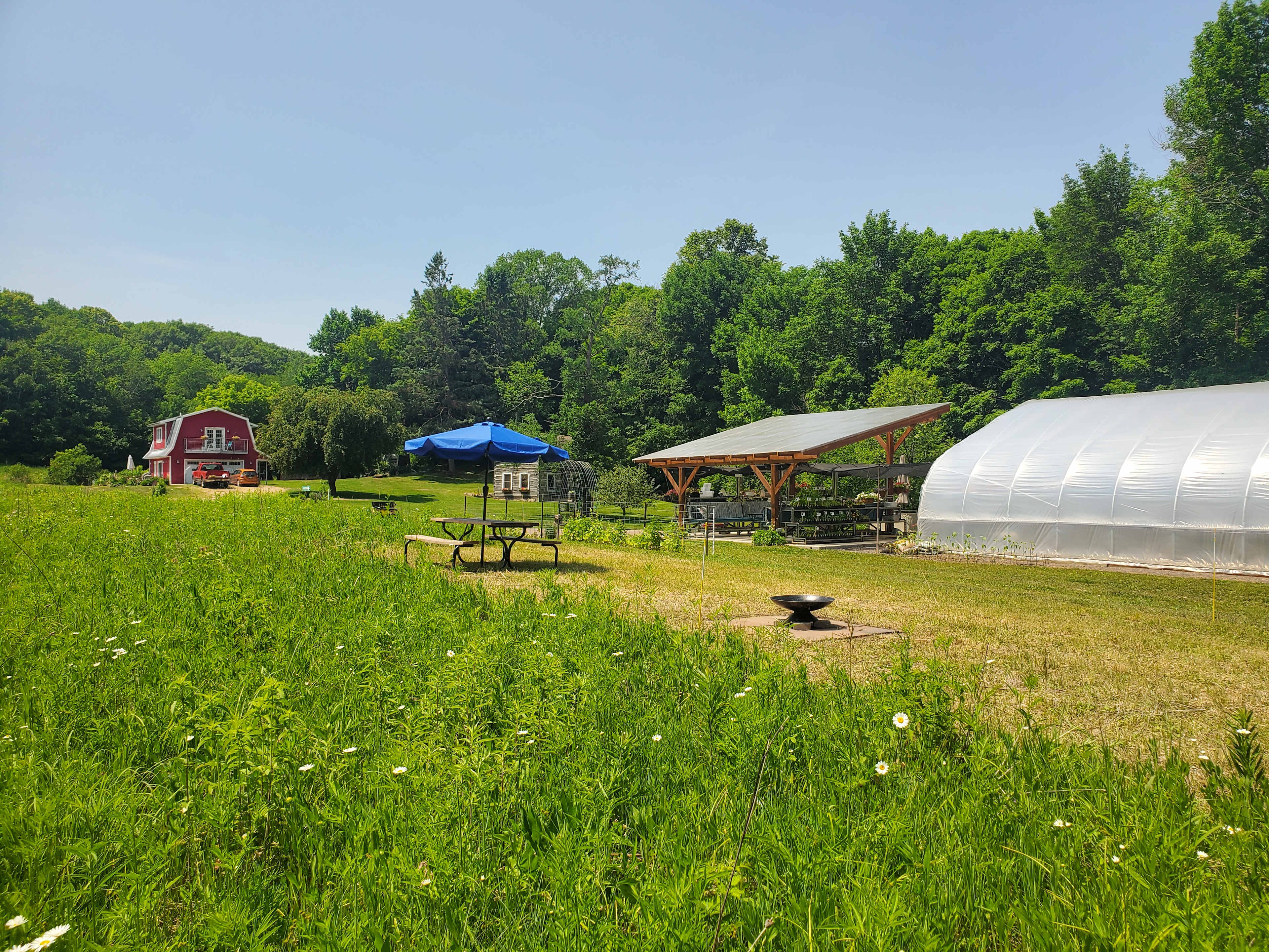 Picture of the site