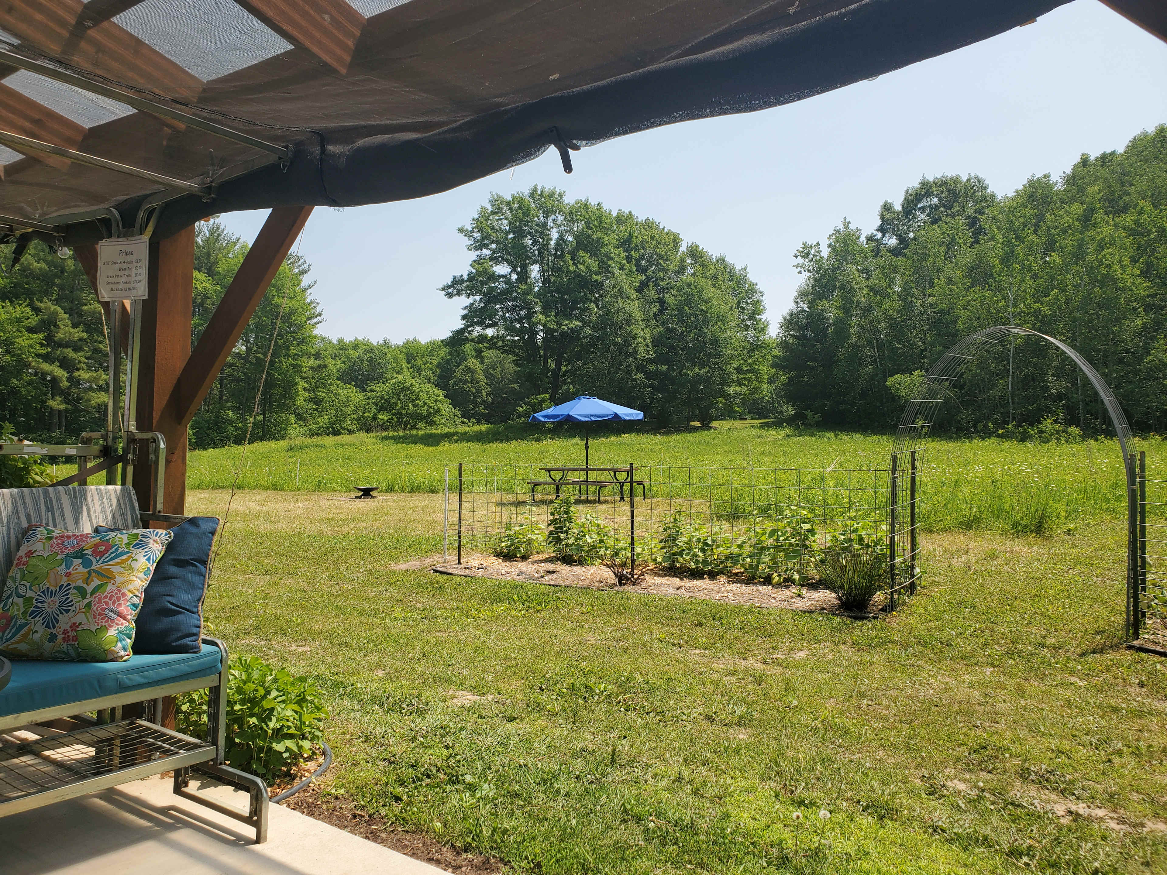 Picture of the site