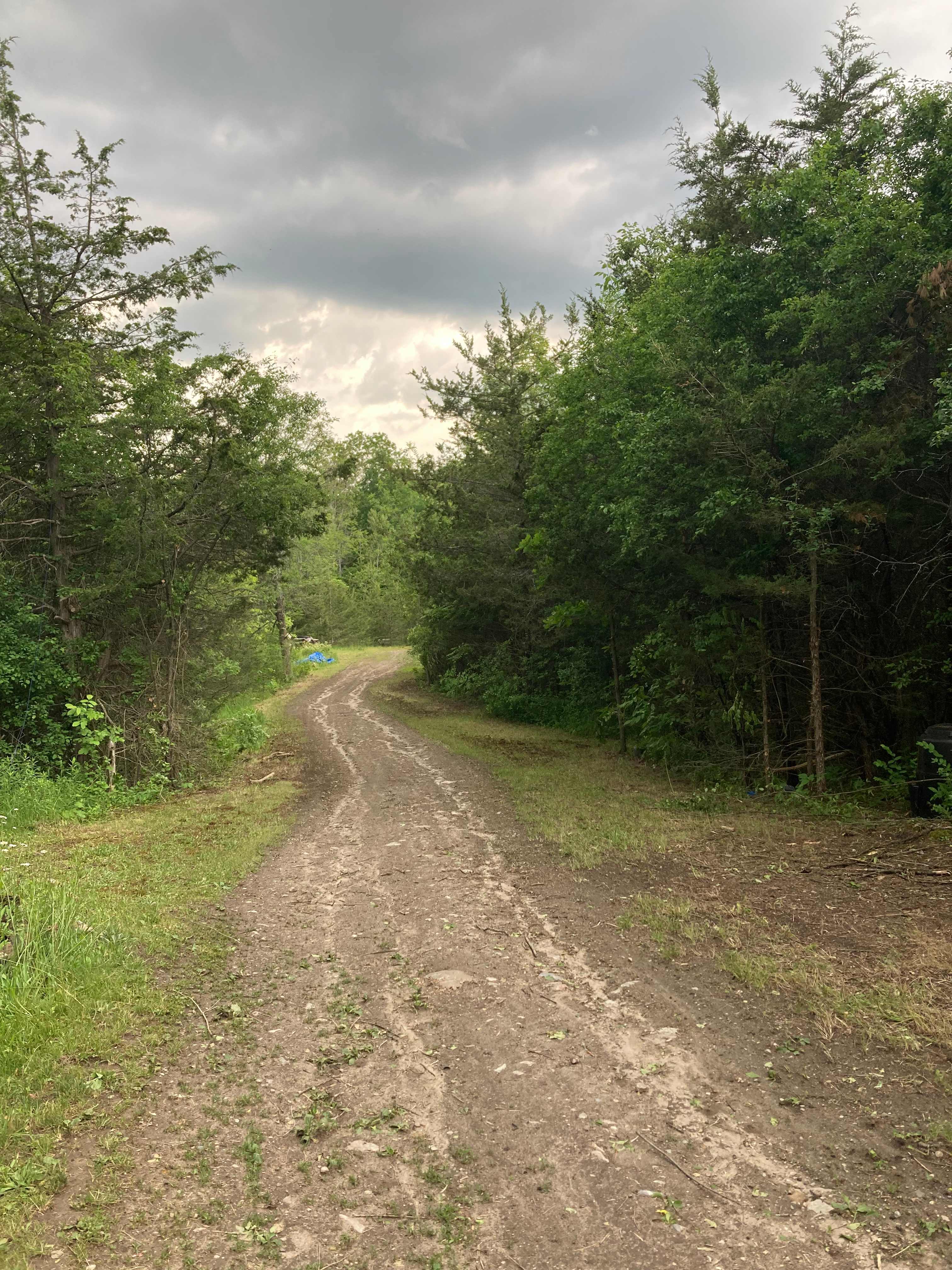 Headed down from our house to the overflow parking. Turn left at the bottom and go about the same distance threw the woods to the beginning  the campsite 