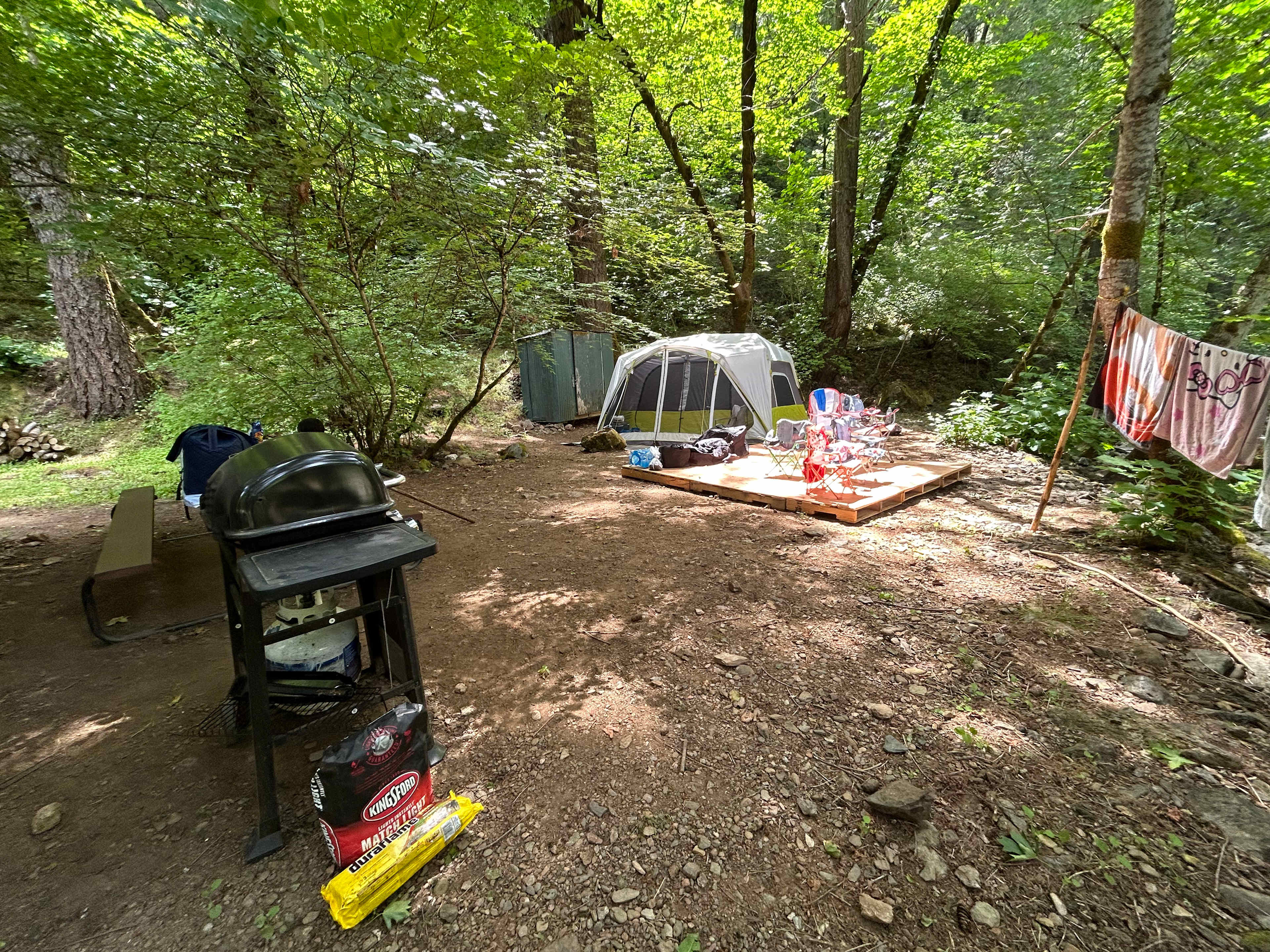 Picture of the site
