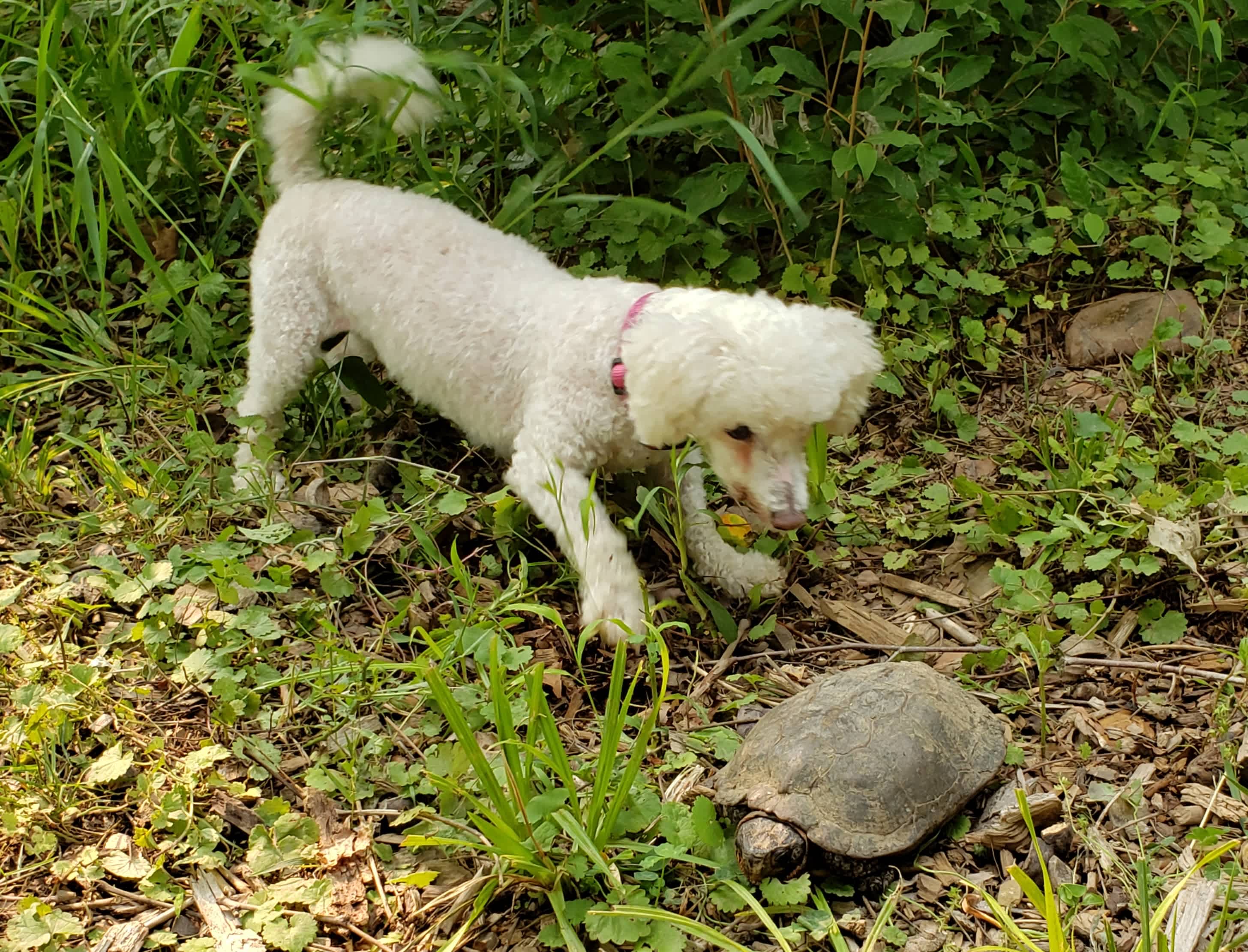 Stoney Creek Campground