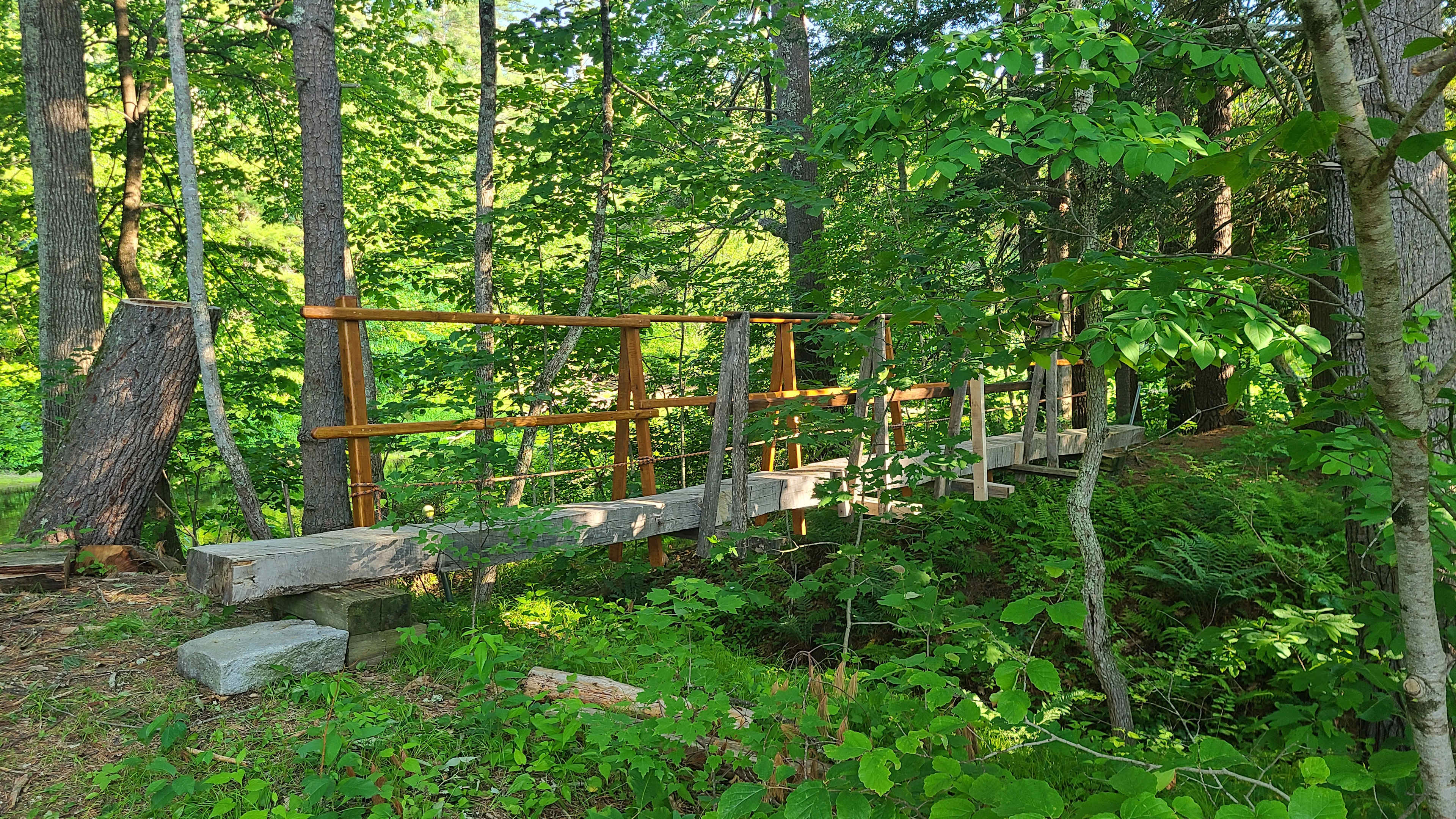 Larger campers or visitors with trailers can park on the edge of the meadow and walk across the log bridge to the campsite.