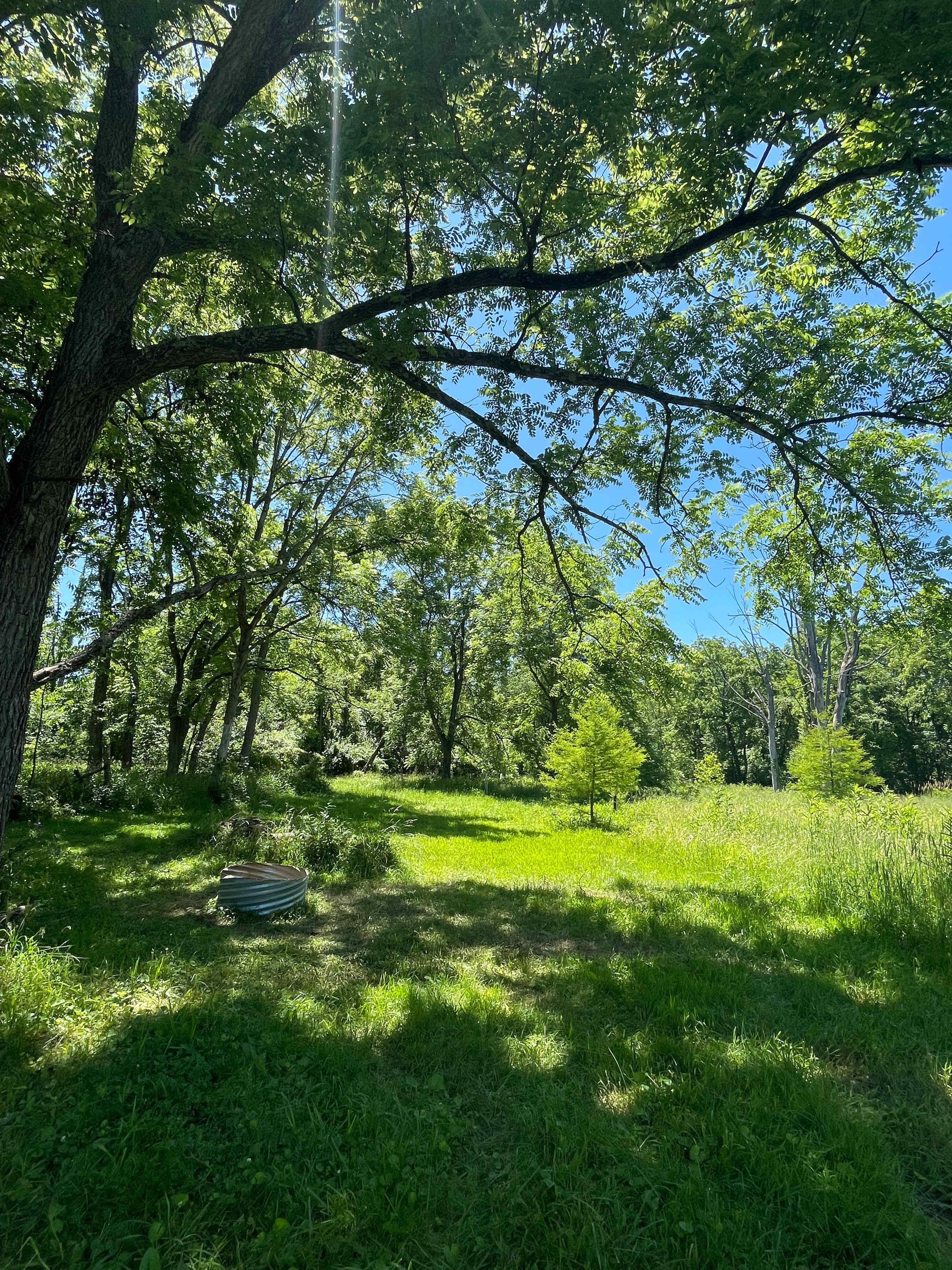 Where guests typically camp. 