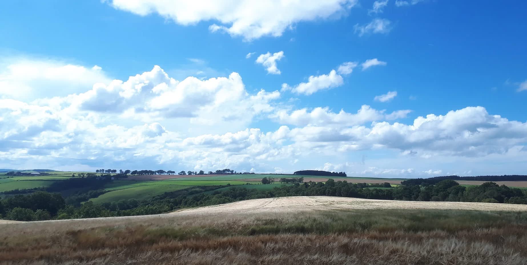 Looking west at the end of the farm