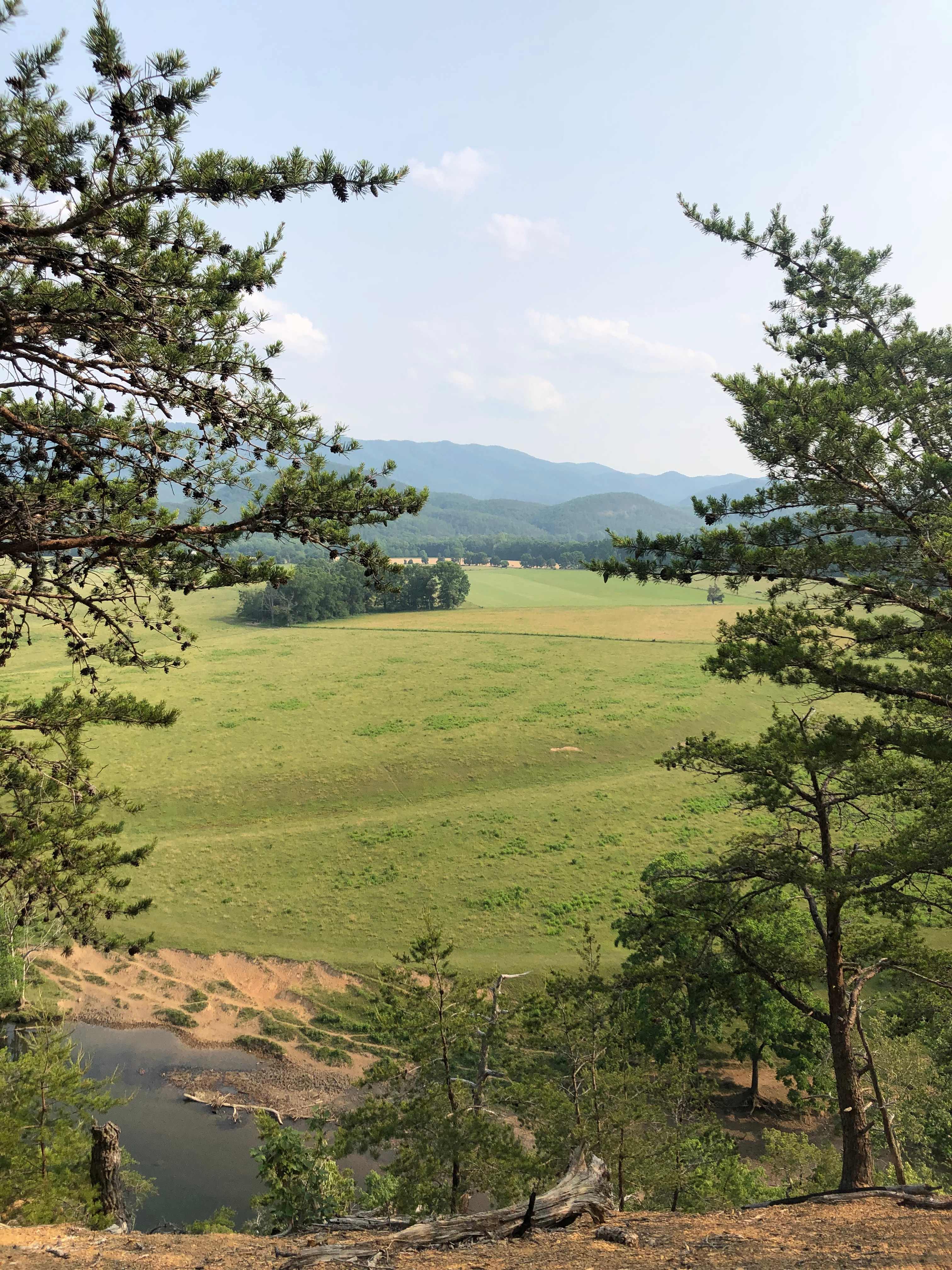 Picture of the site