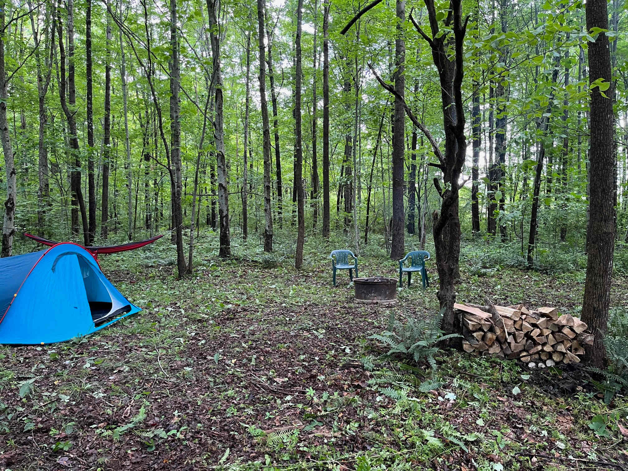 The Campsite at Dragonfly Lake
