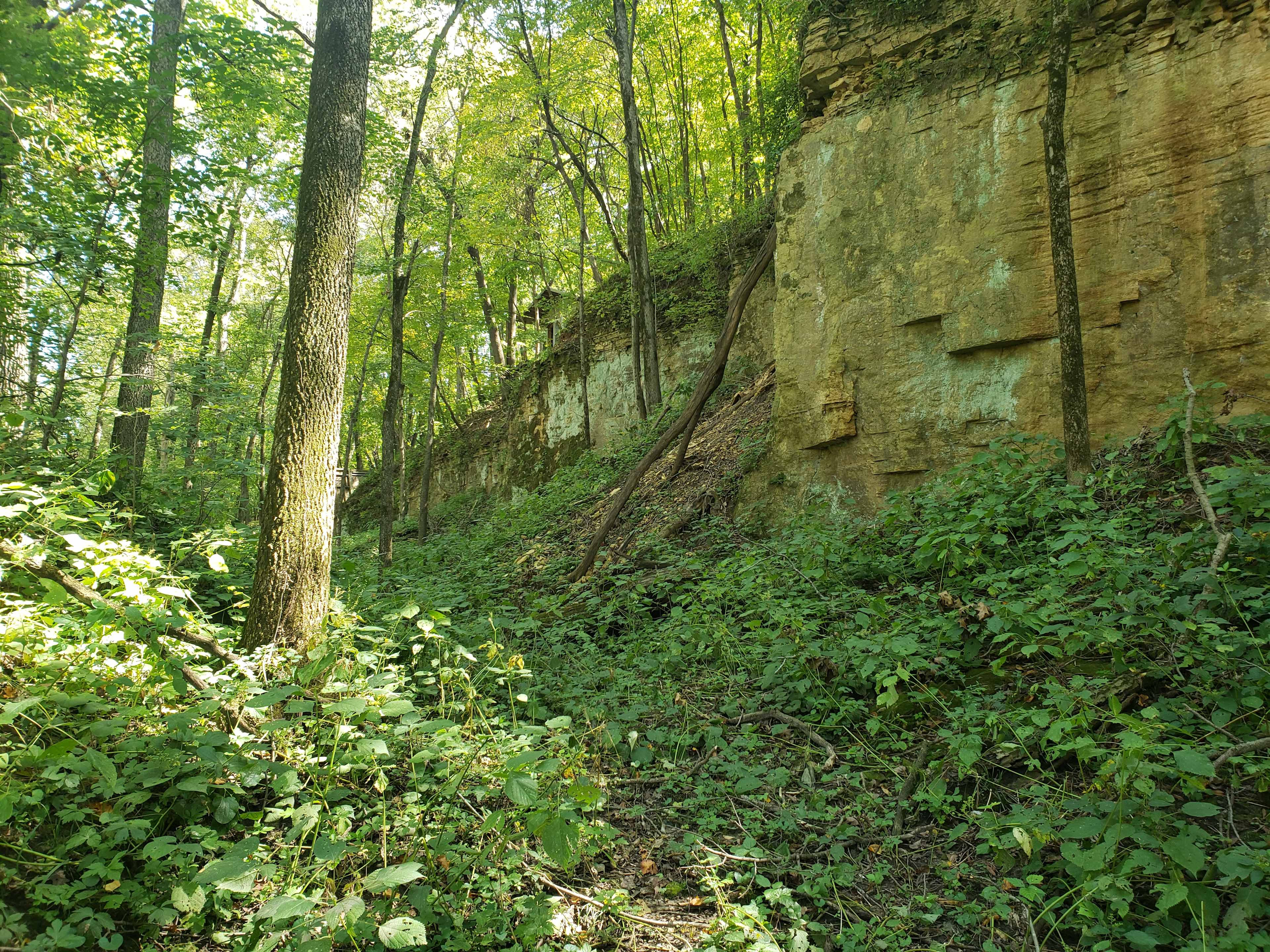 Picture of the site