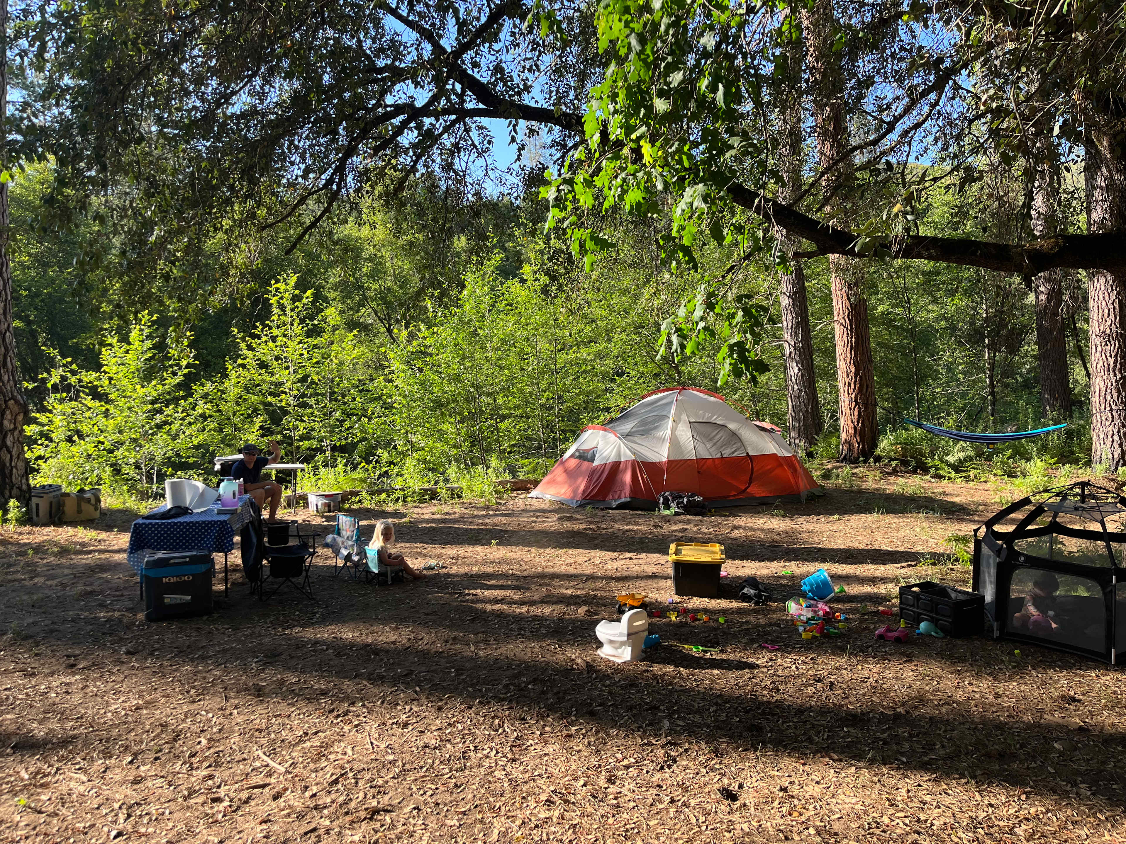 Picture of the site