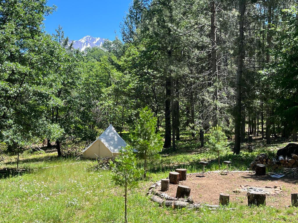 Willow's Healing Haven