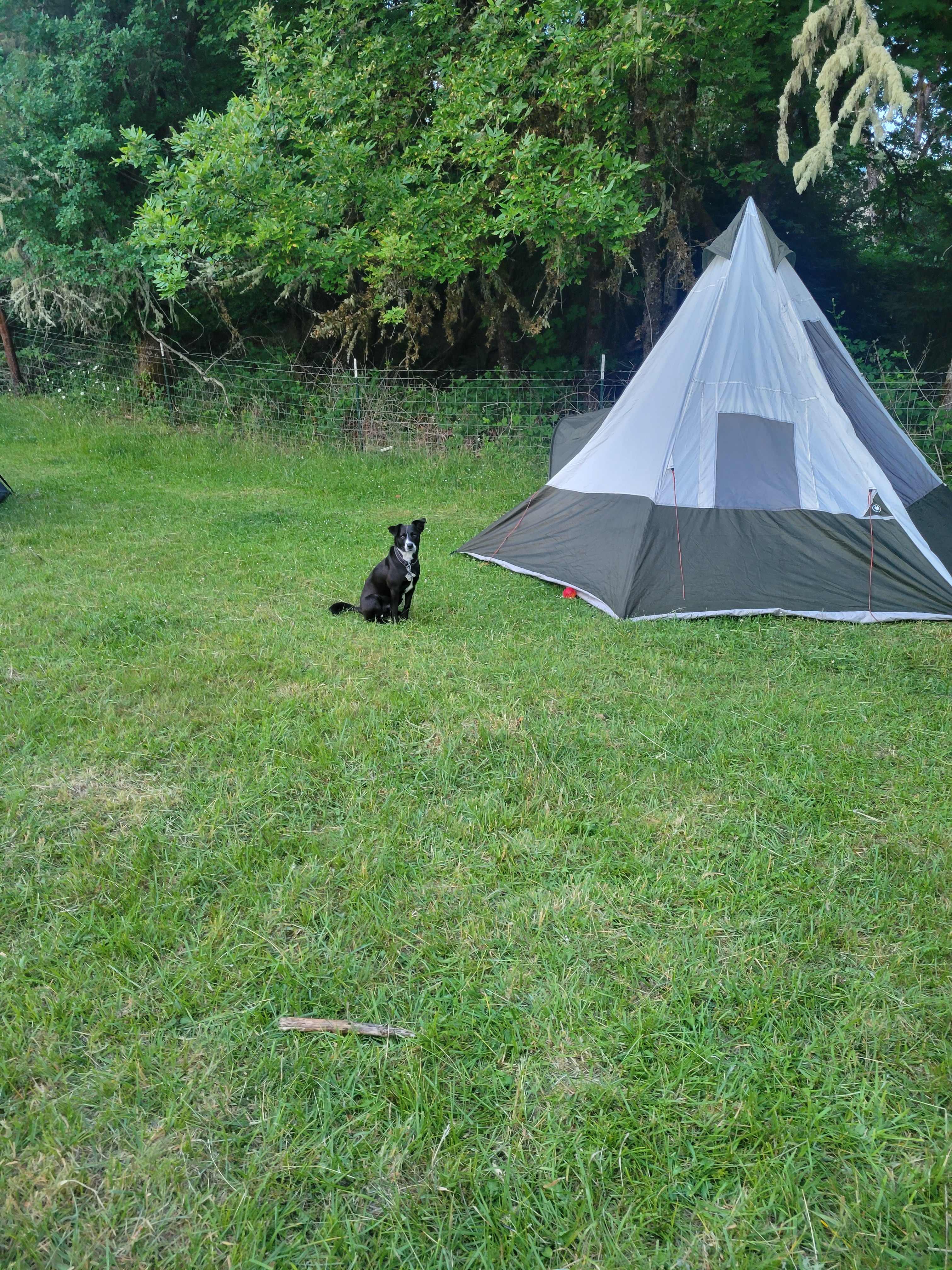River Ranch Campground