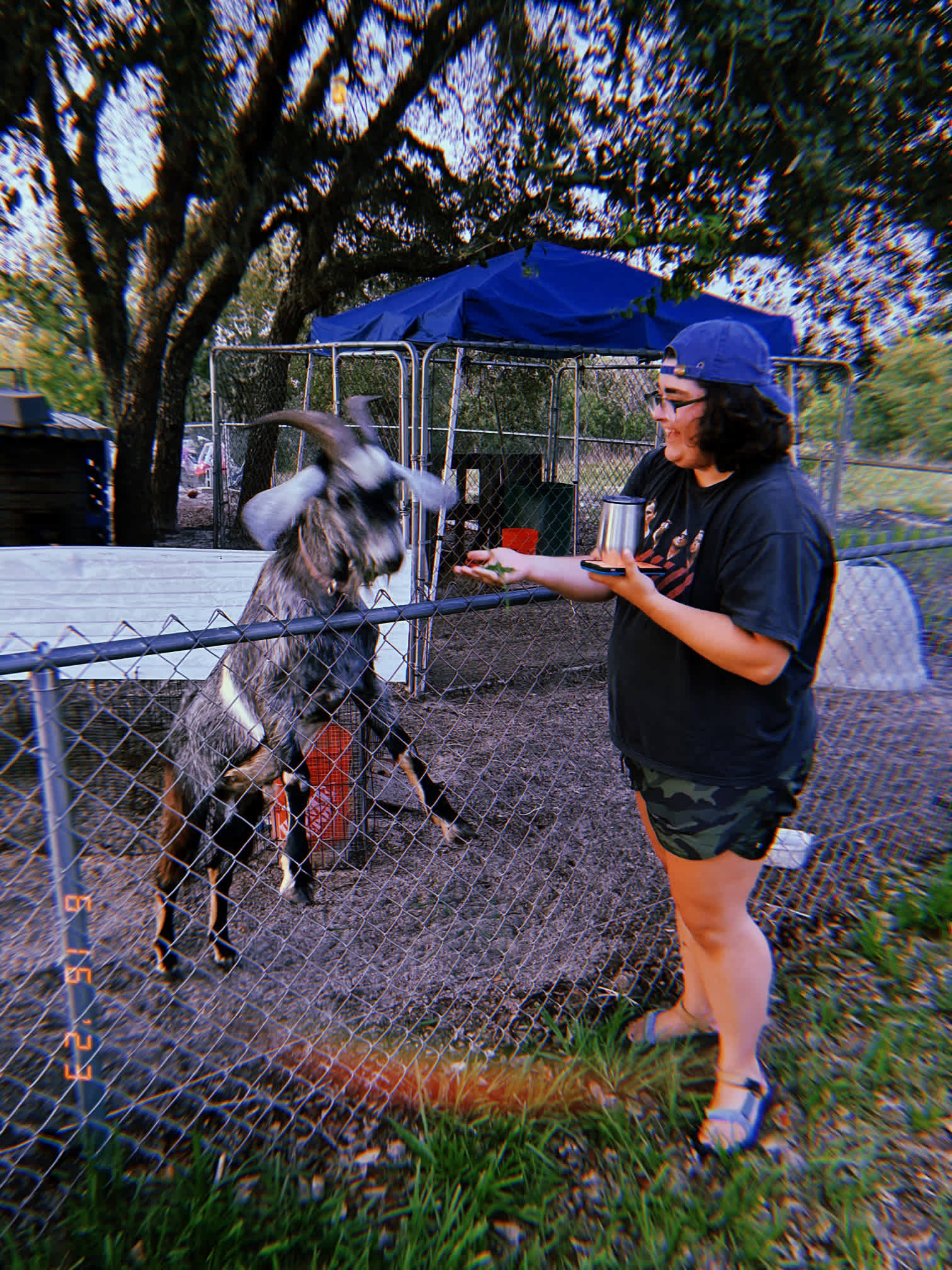 Happy Campers Rescue Ranch