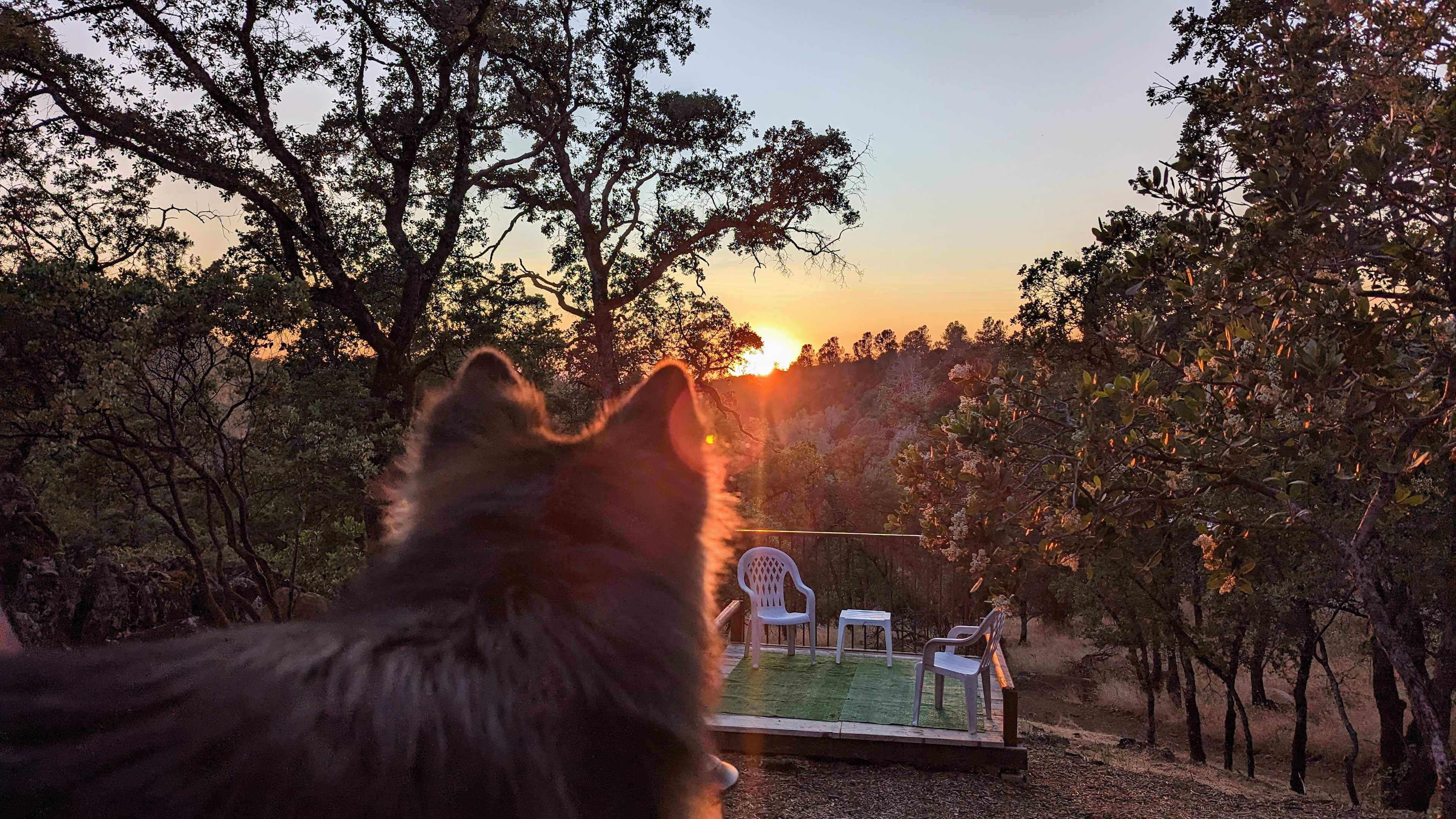 Sunset Vista Farm