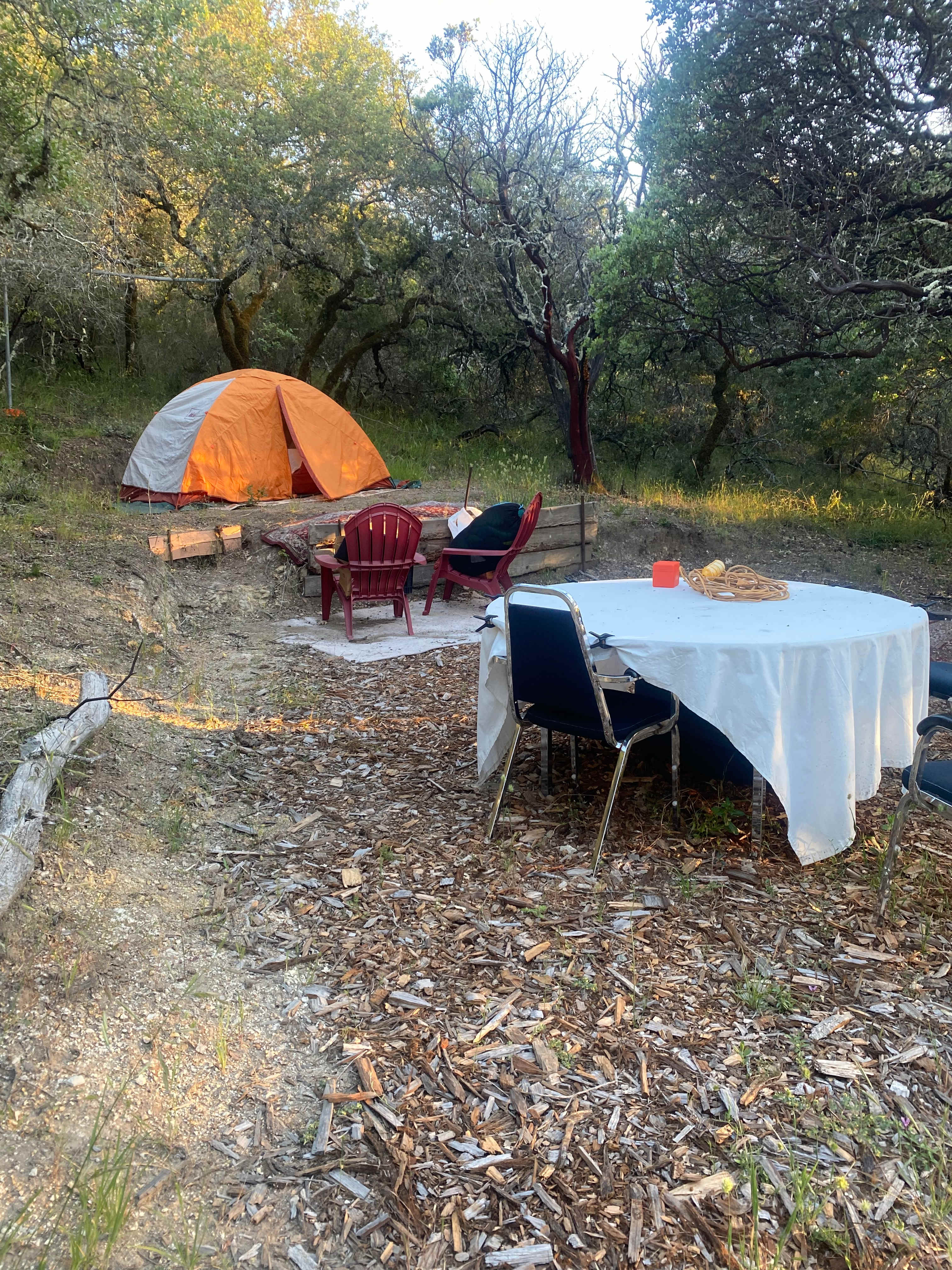 Picture of the site