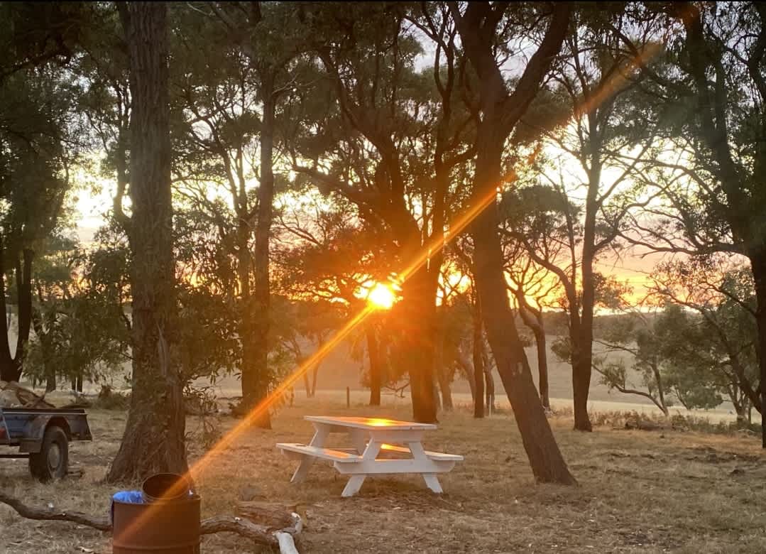 Coastal Farm Camp