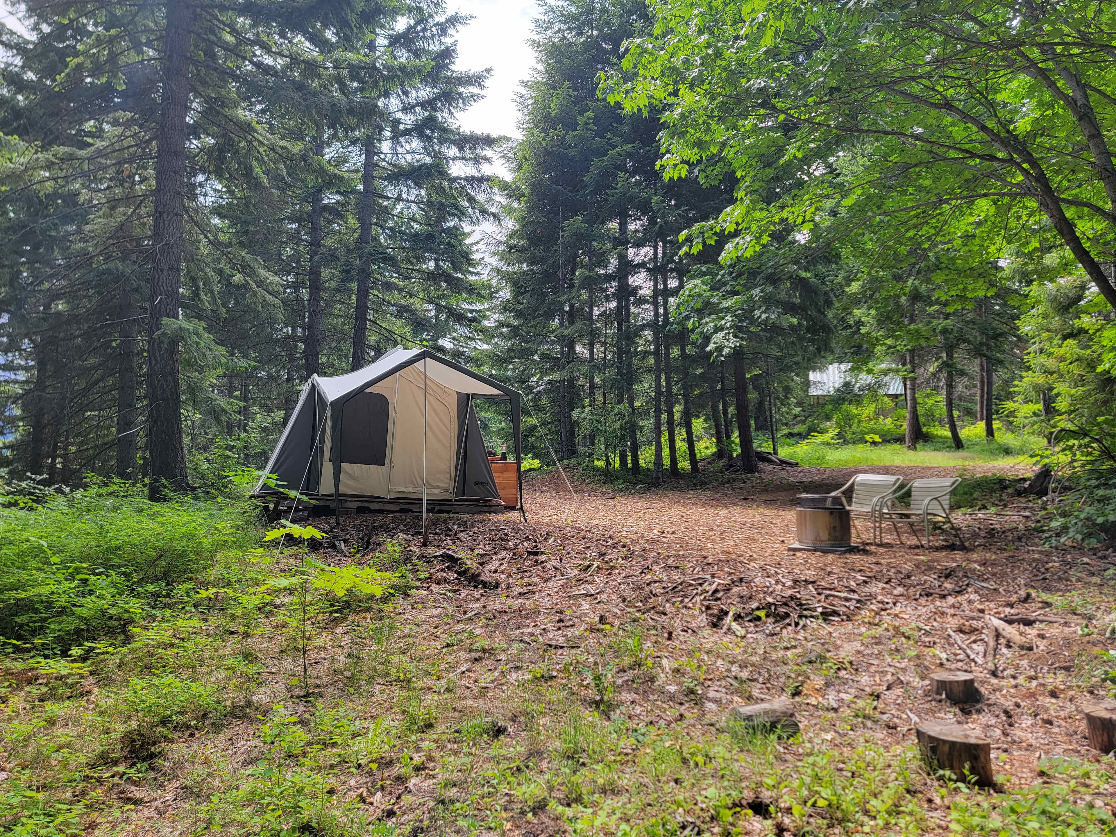 Picture of the site