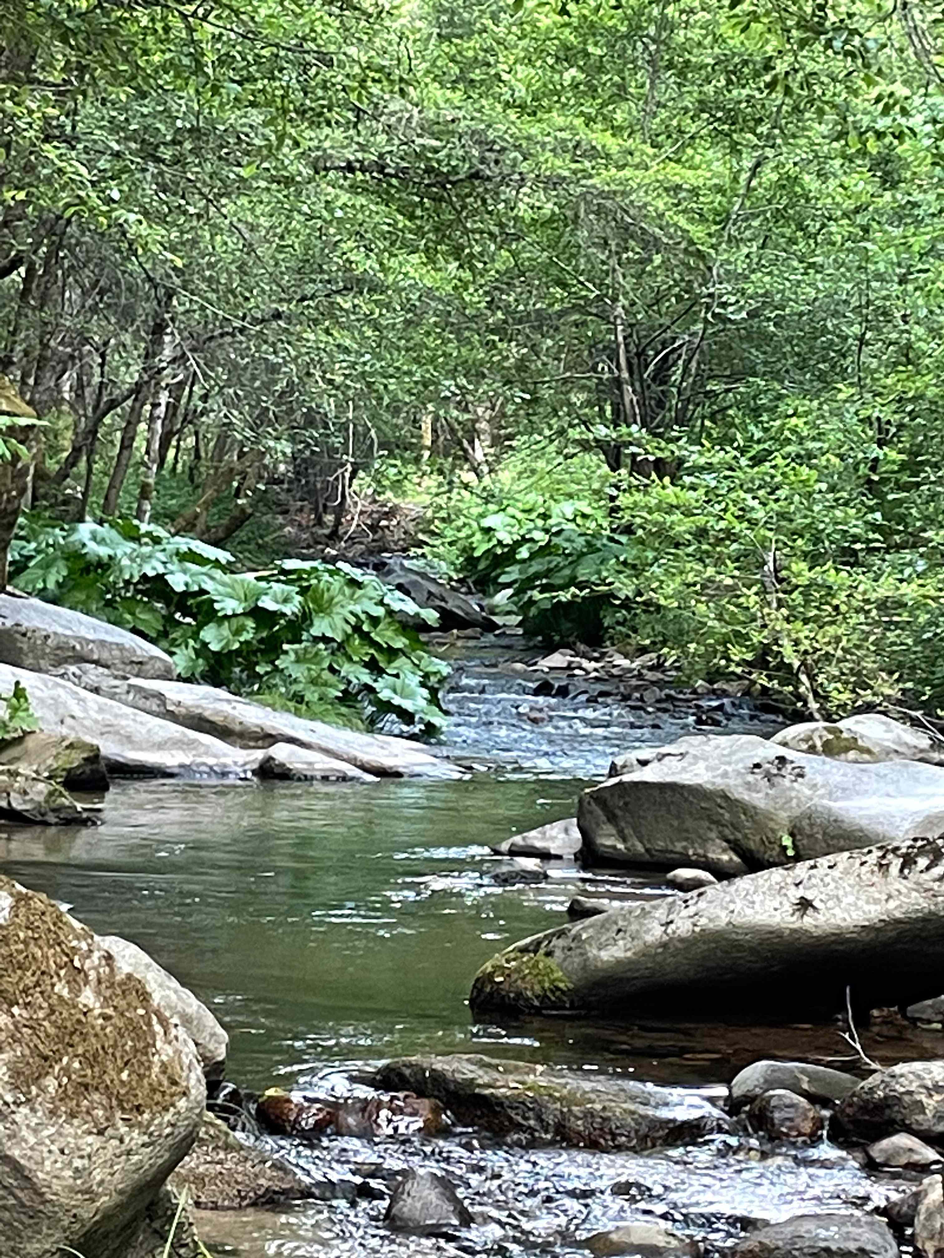 Escape the rat race, just 7 minutes up the road from Willow Springs.