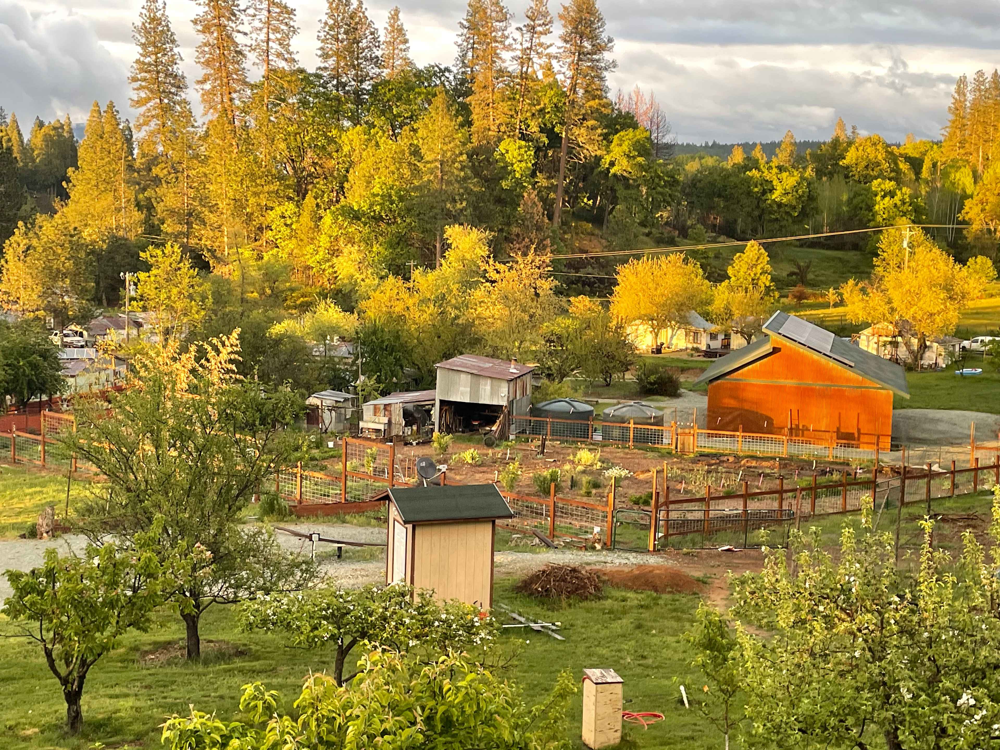 We are a rural farm with a touch of forward thinking. 