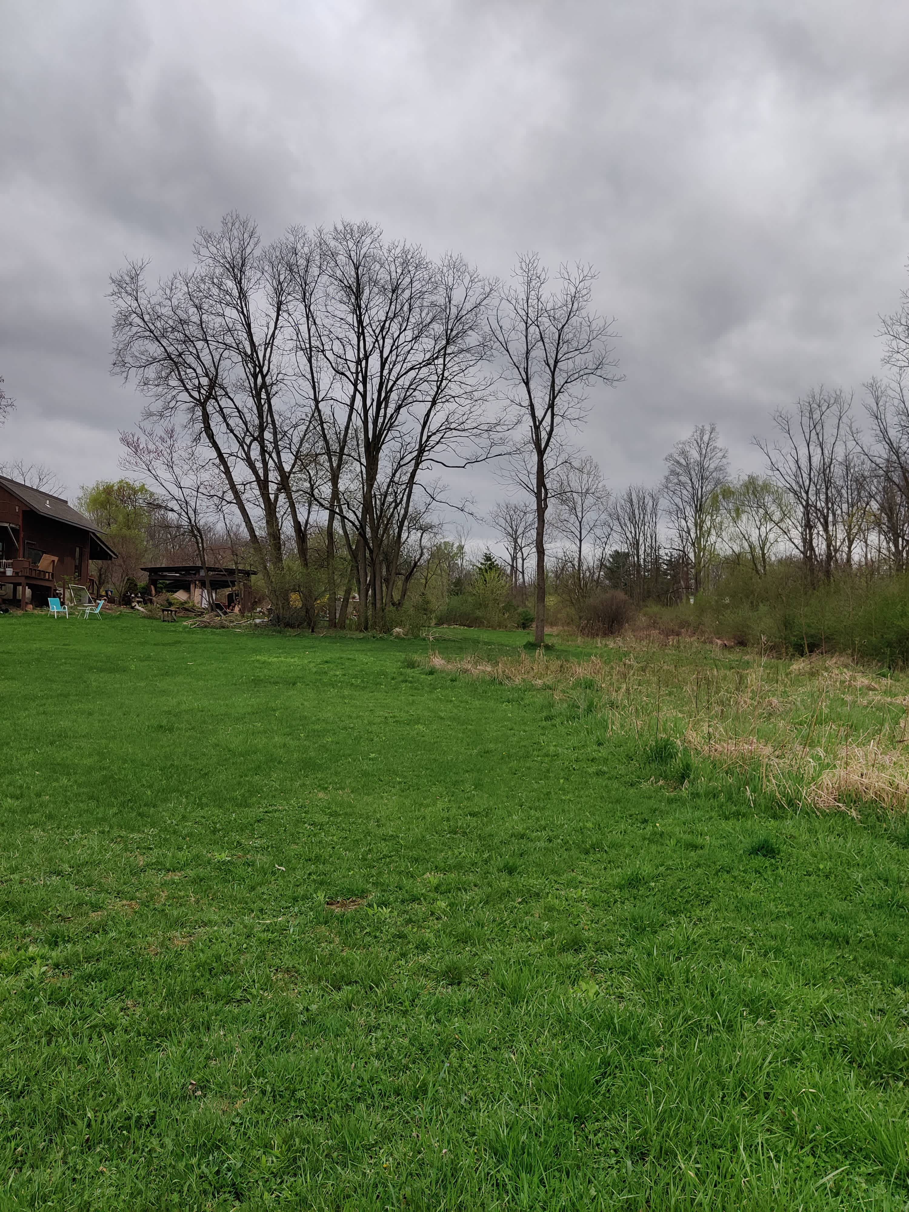 On the East lawn, with the house, woodshed and utility area.