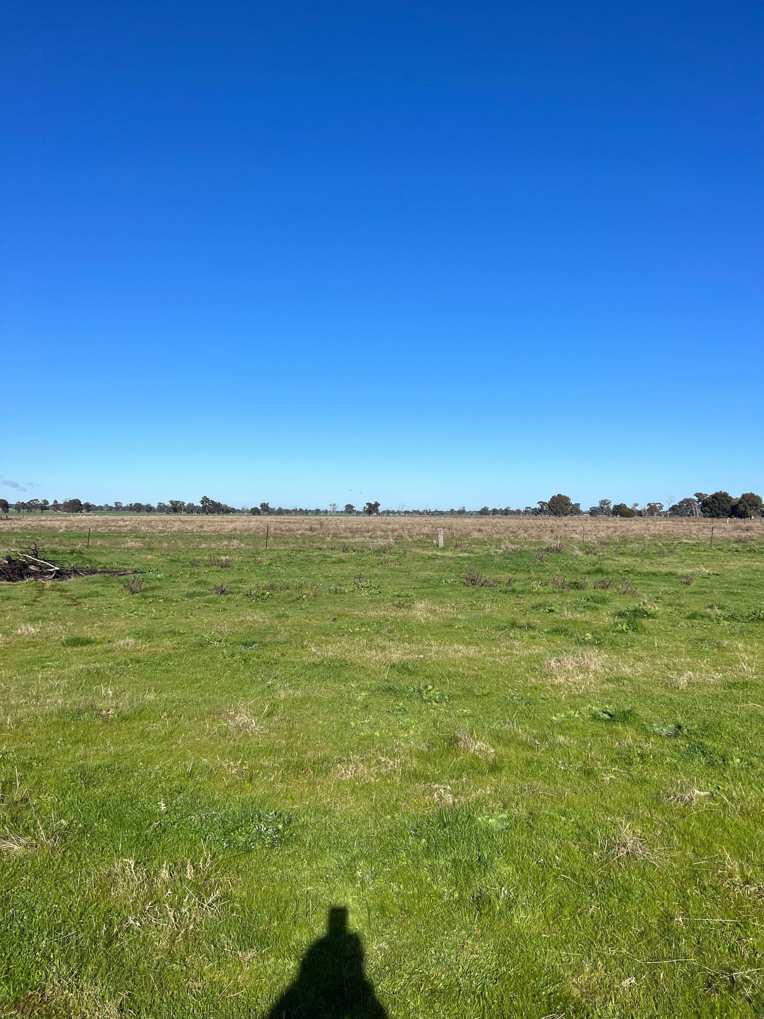 Roseneath Bundalong
