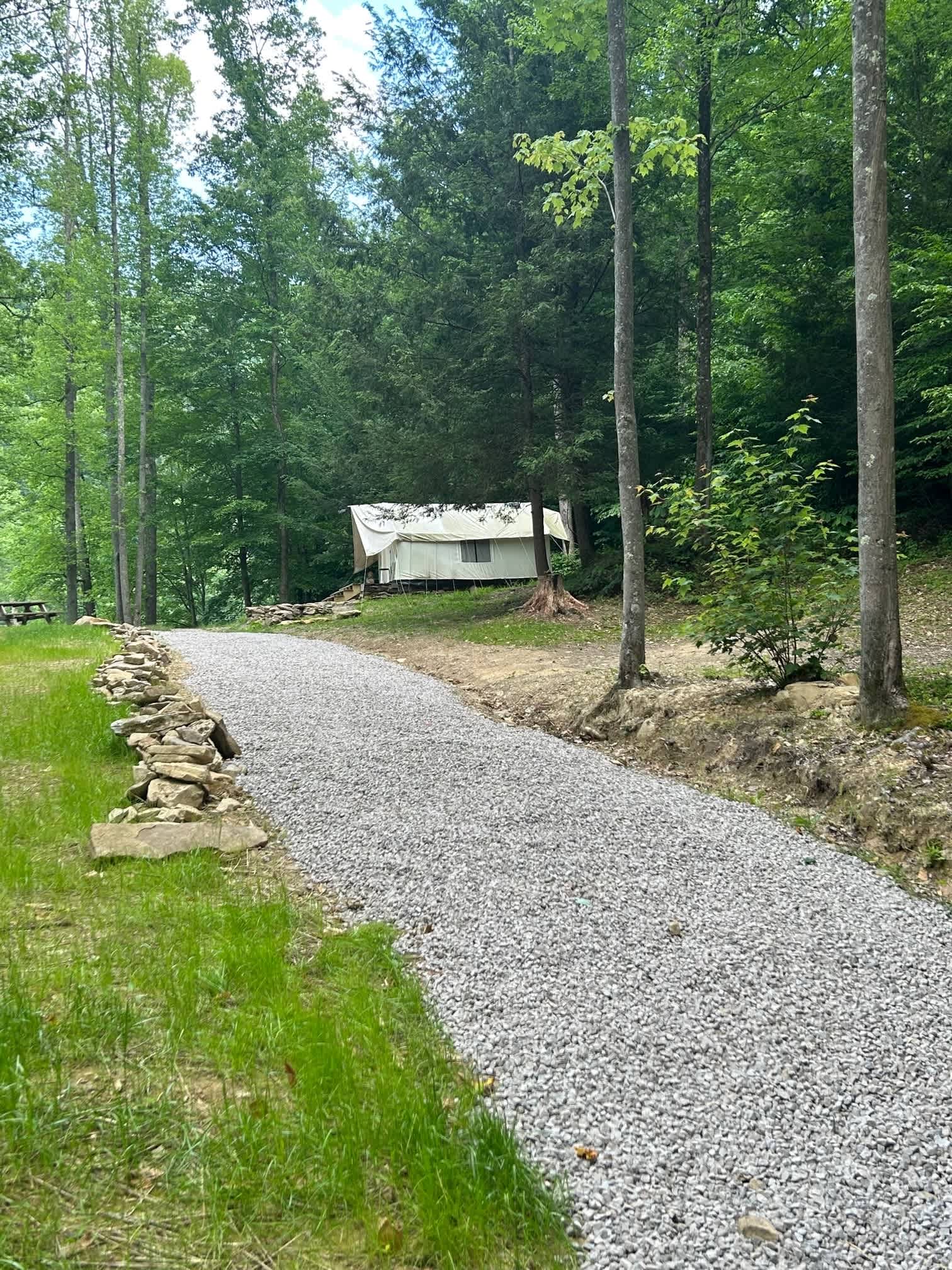Picture of the site