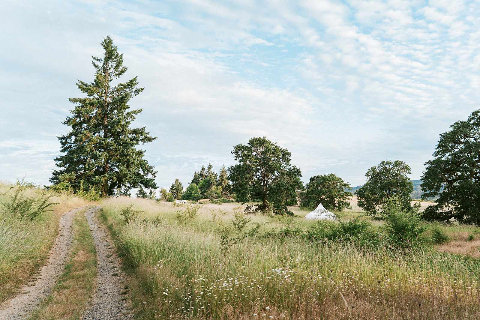 Gorgeous fields with a stunning clamping tent and multiple parking spaces for RVs