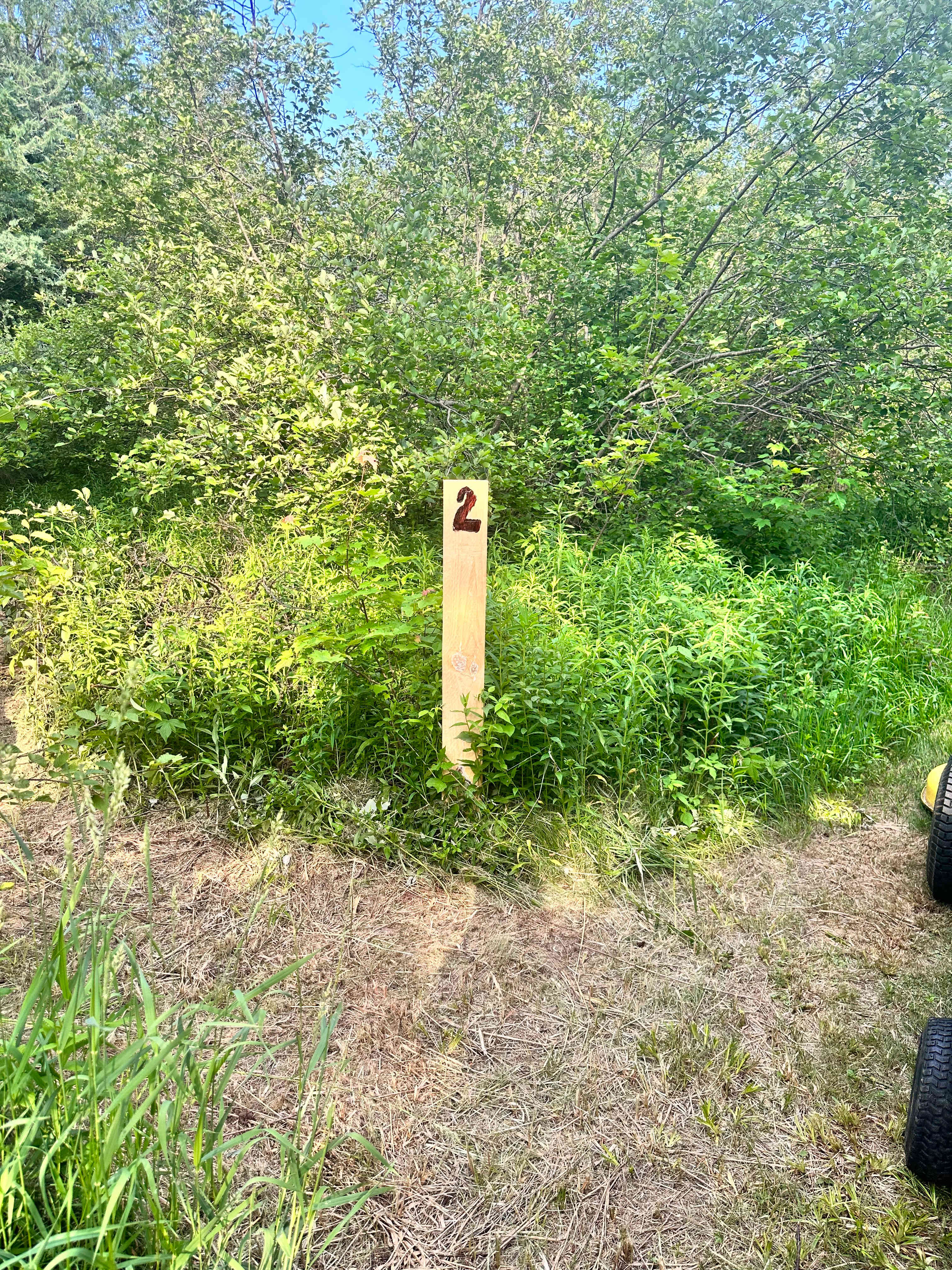 Huckleberry camp
