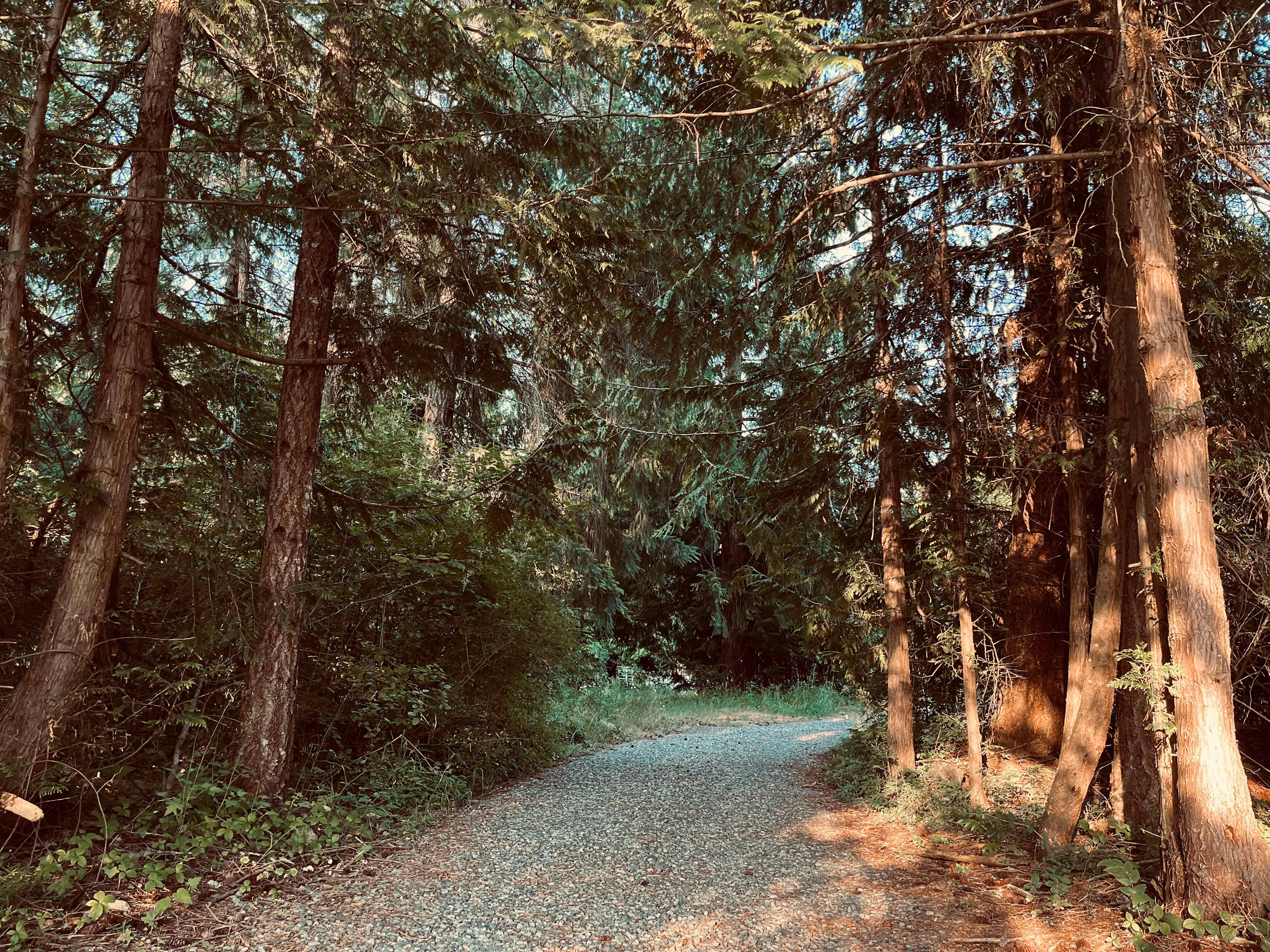 Shirewoods Farm