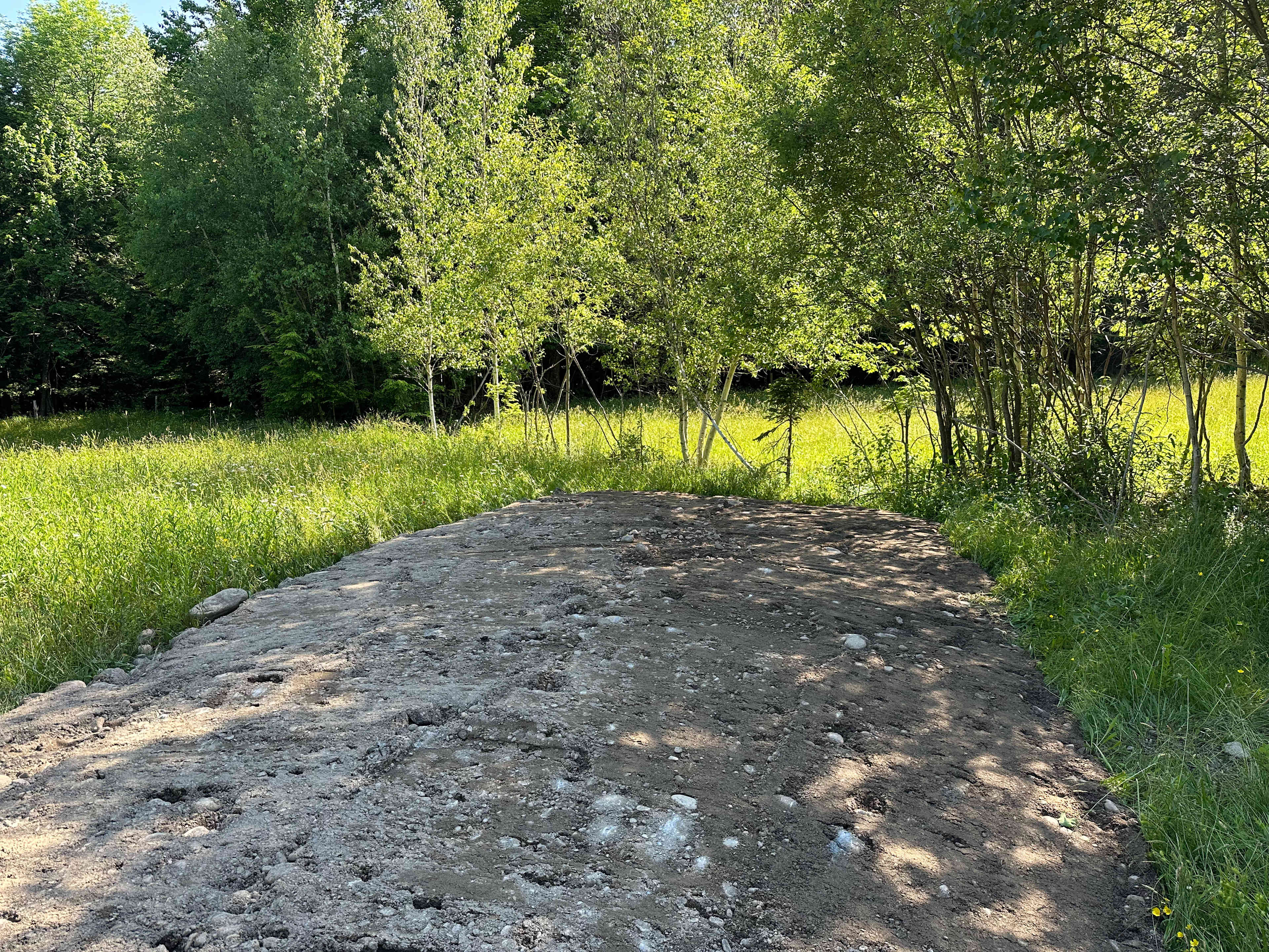 Picture of the site